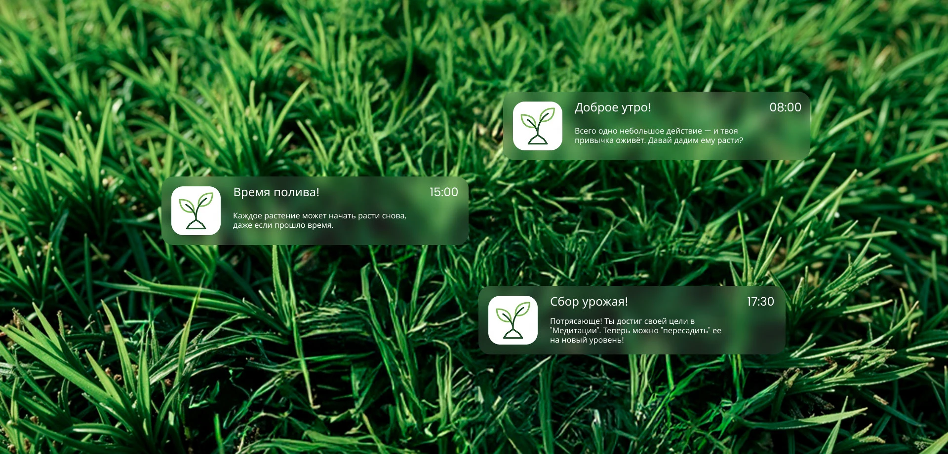 GrowLeaf Habit Trecker Mobile App — Изображение №7 — Интерфейсы на Dprofile