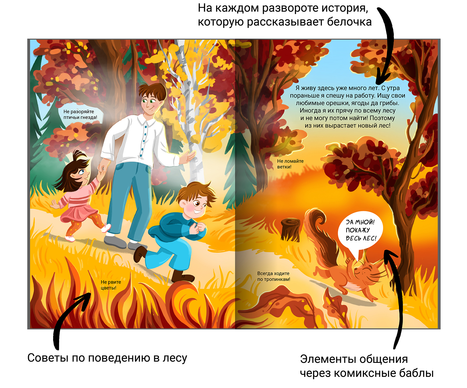 Детская книга о правилах поведения в лесу "Жизнь белки" — Изображение №6 — Иллюстрация, Графика на Dprofile