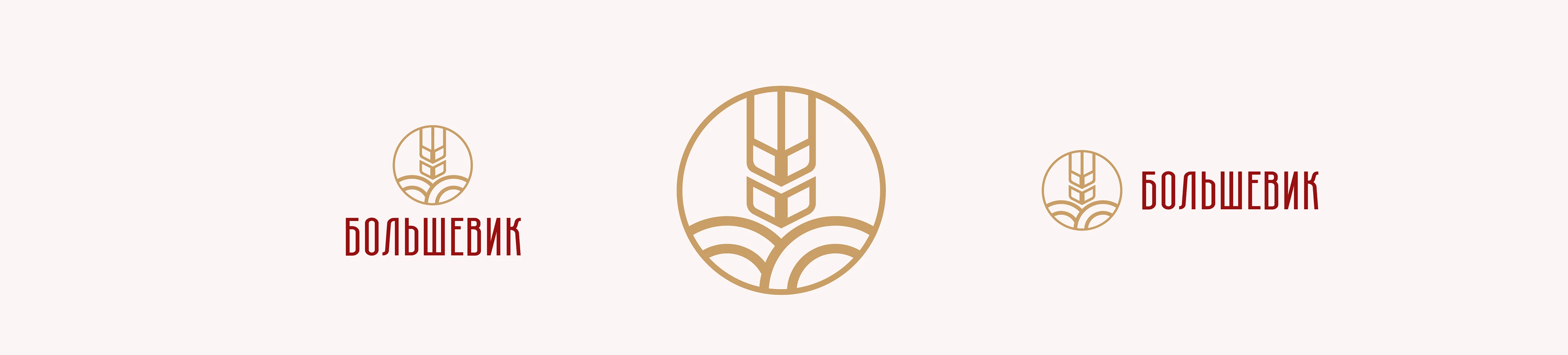 Ребрендинг кондитерской фабрики "Большевик" — Изображение №4 — Брендинг на Dprofile