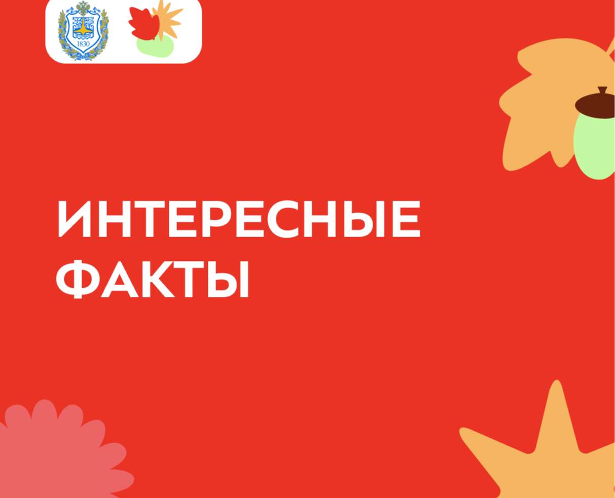 Осенние инженерные каникулы для школьников — Интерфейсы, Брендинг на Dprofile