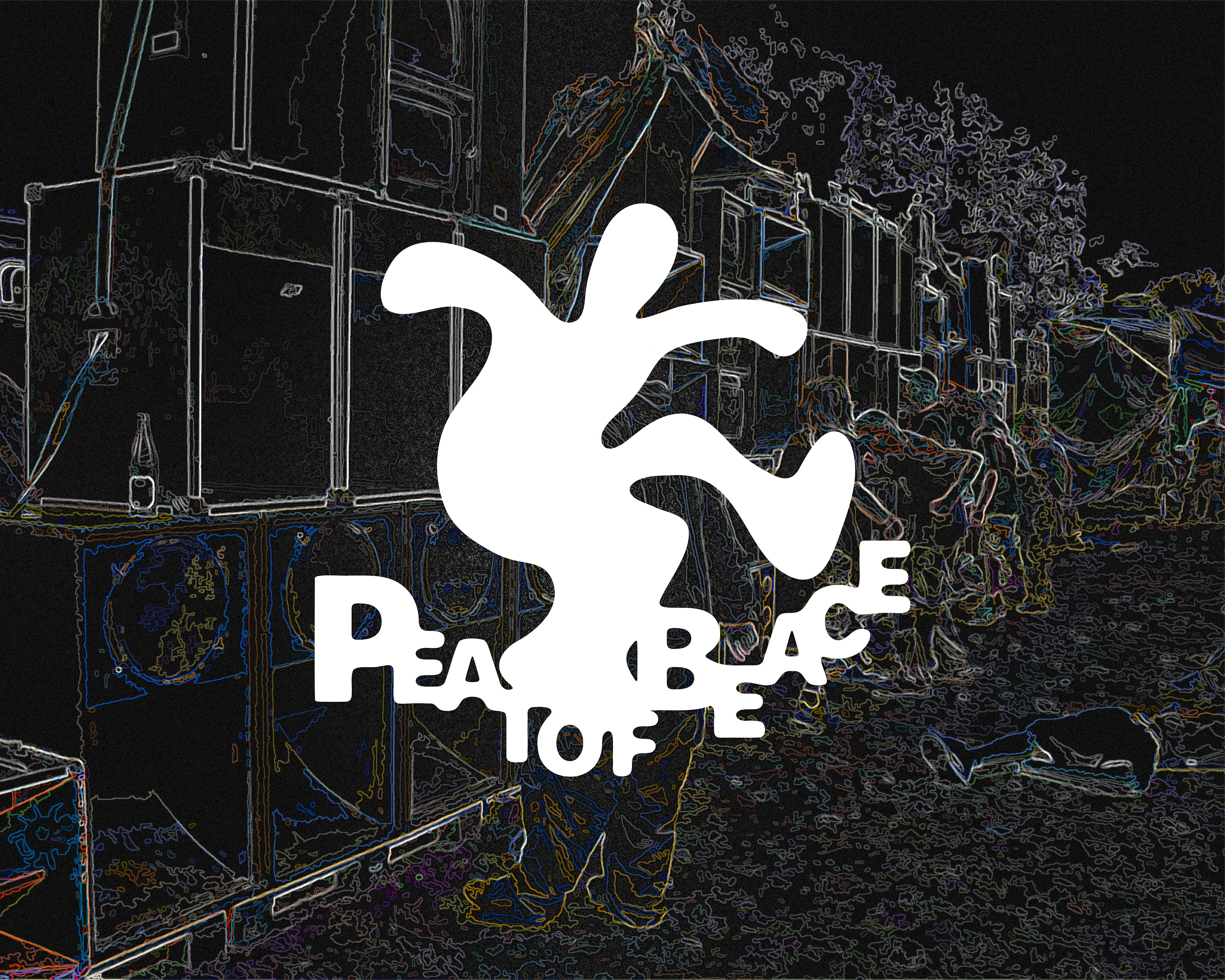 PEATOFBEACE — Изображение №1 — Брендинг на Dprofile