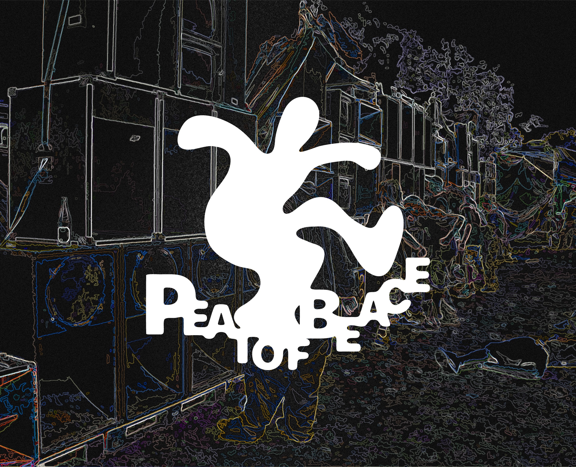 PEATOFBEACE — Брендинг на Dprofile