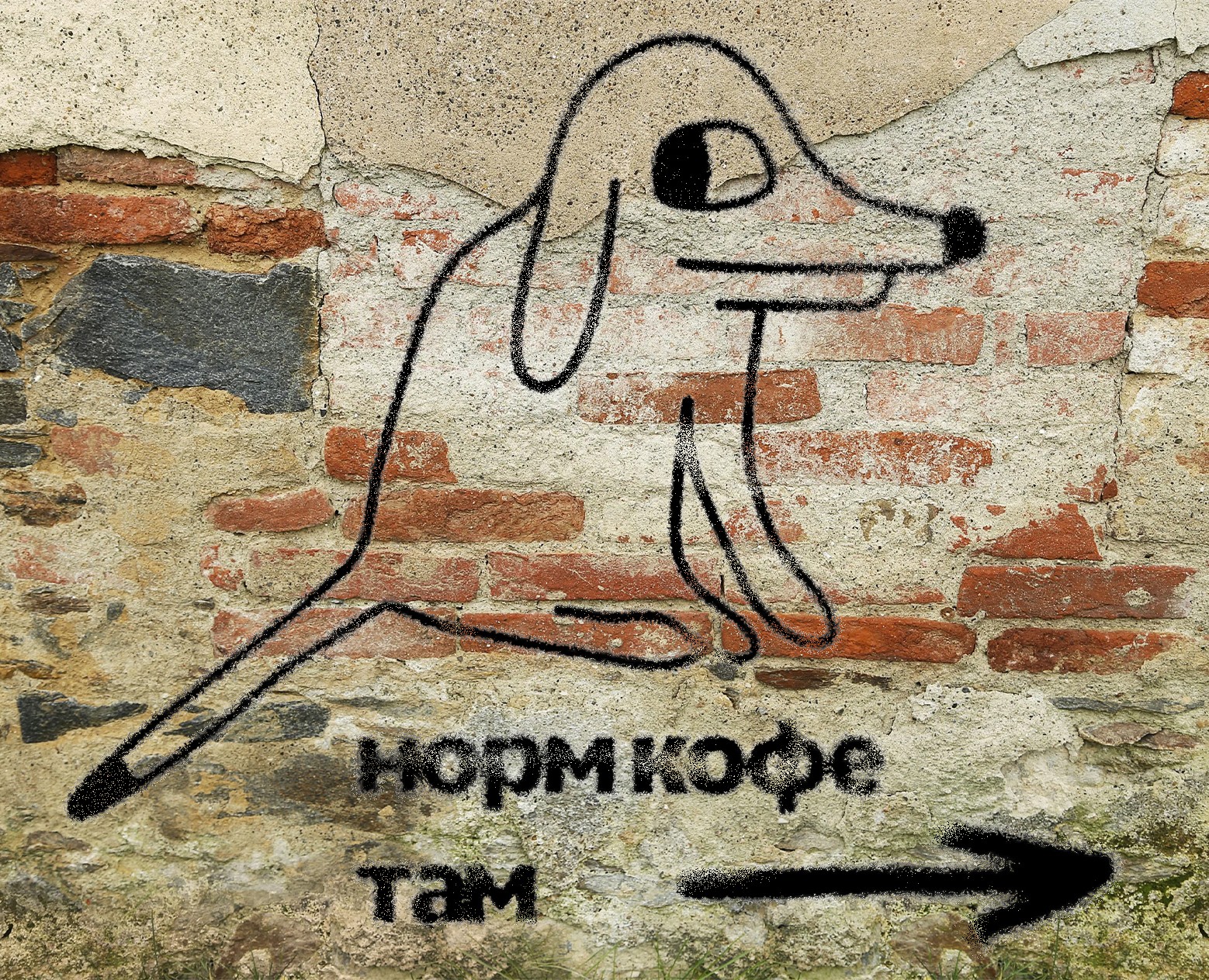 норм кофе — Брендинг на Dprofile