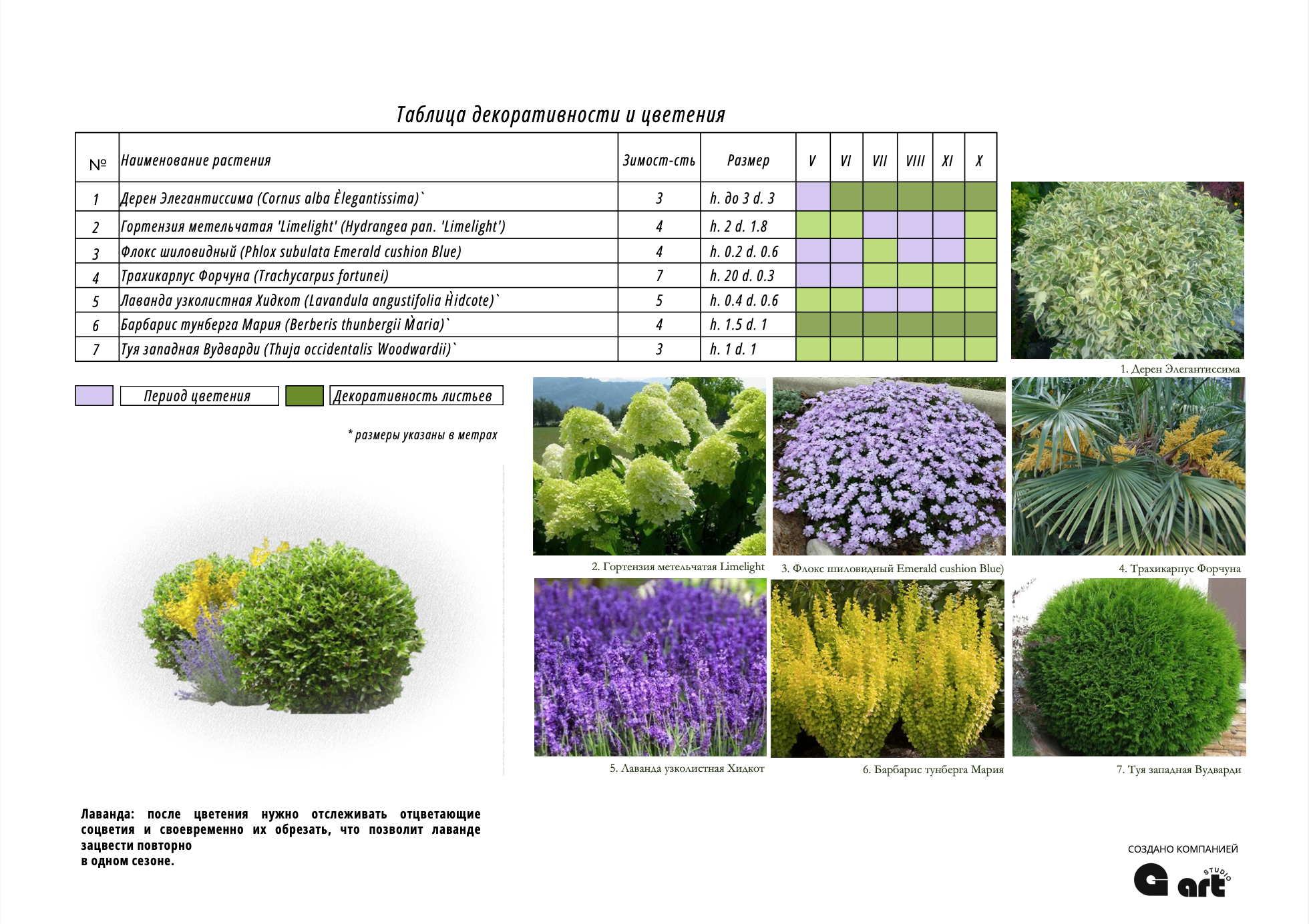 Проект ландшафтного дизайна — Изображение №4 — Иллюстрация, Графика на Dprofile