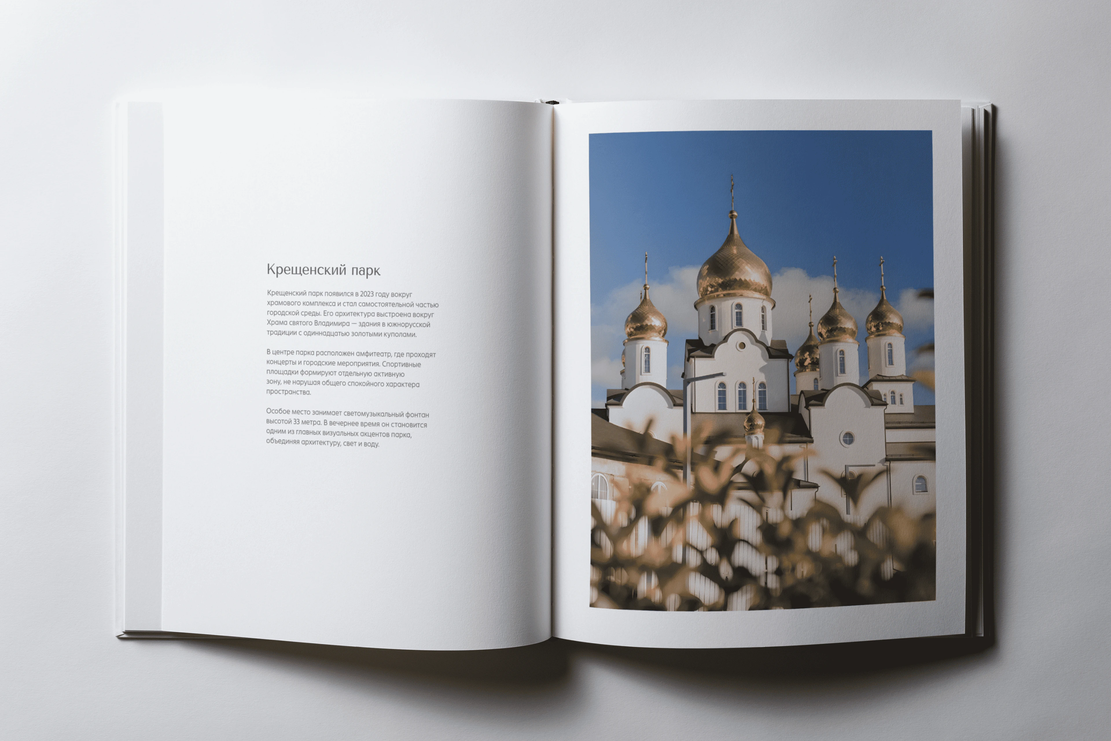 Тестовое задание ССК — Изображение №25 — Брендинг, Графика на Dprofile