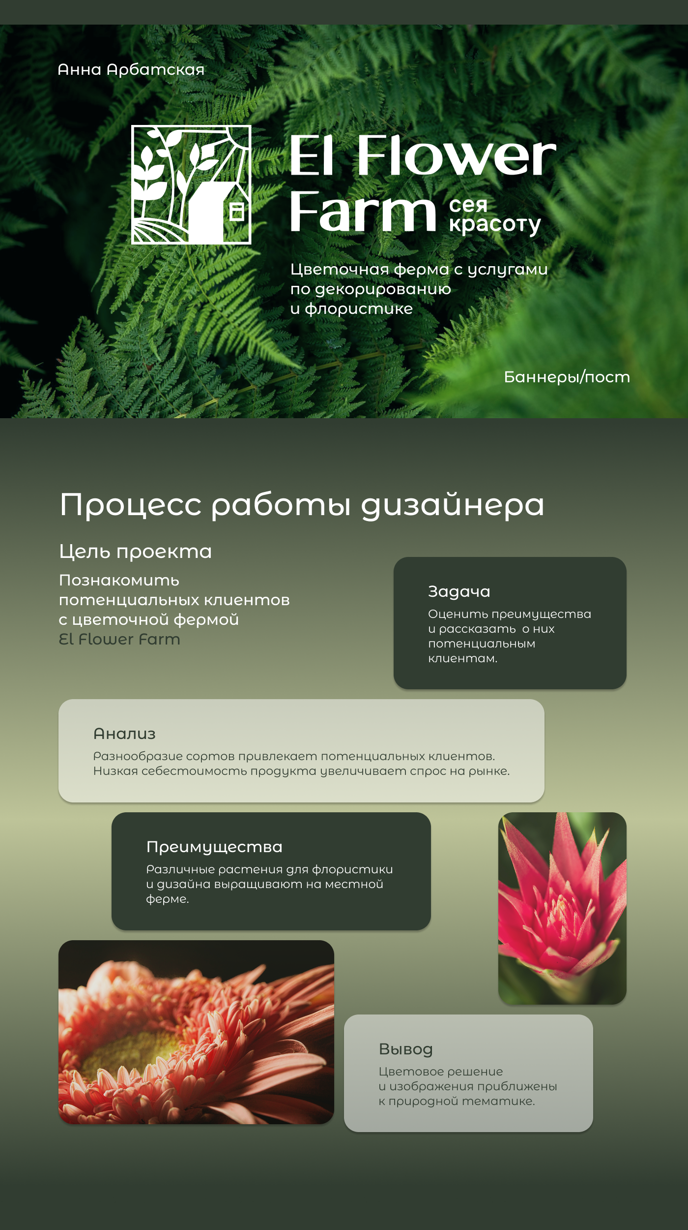 Баннеры/сторис/пост — Изображение №1 — Брендинг, Графика на Dprofile