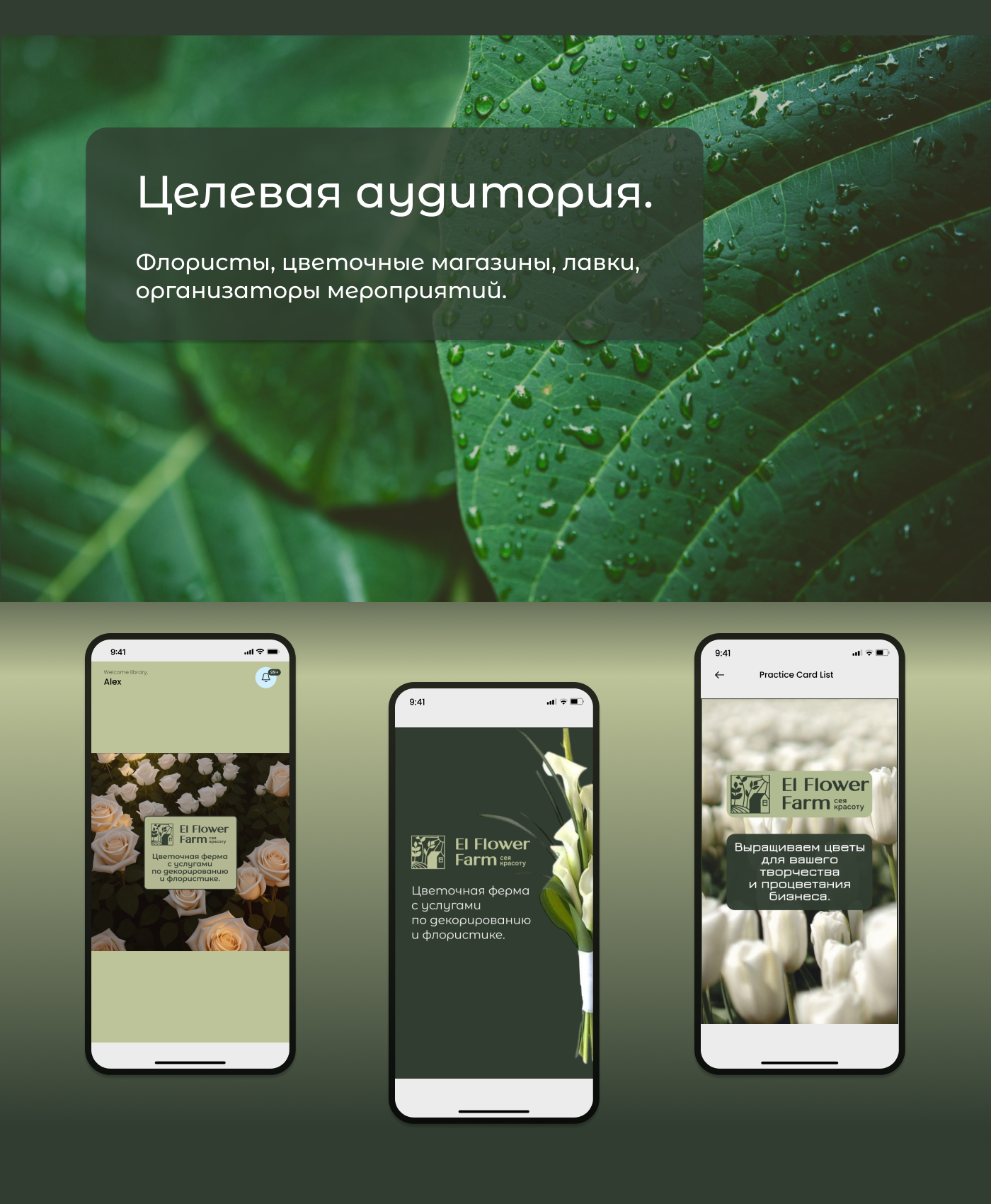 Баннеры/сторис/пост — Изображение №2 — Брендинг, Графика на Dprofile