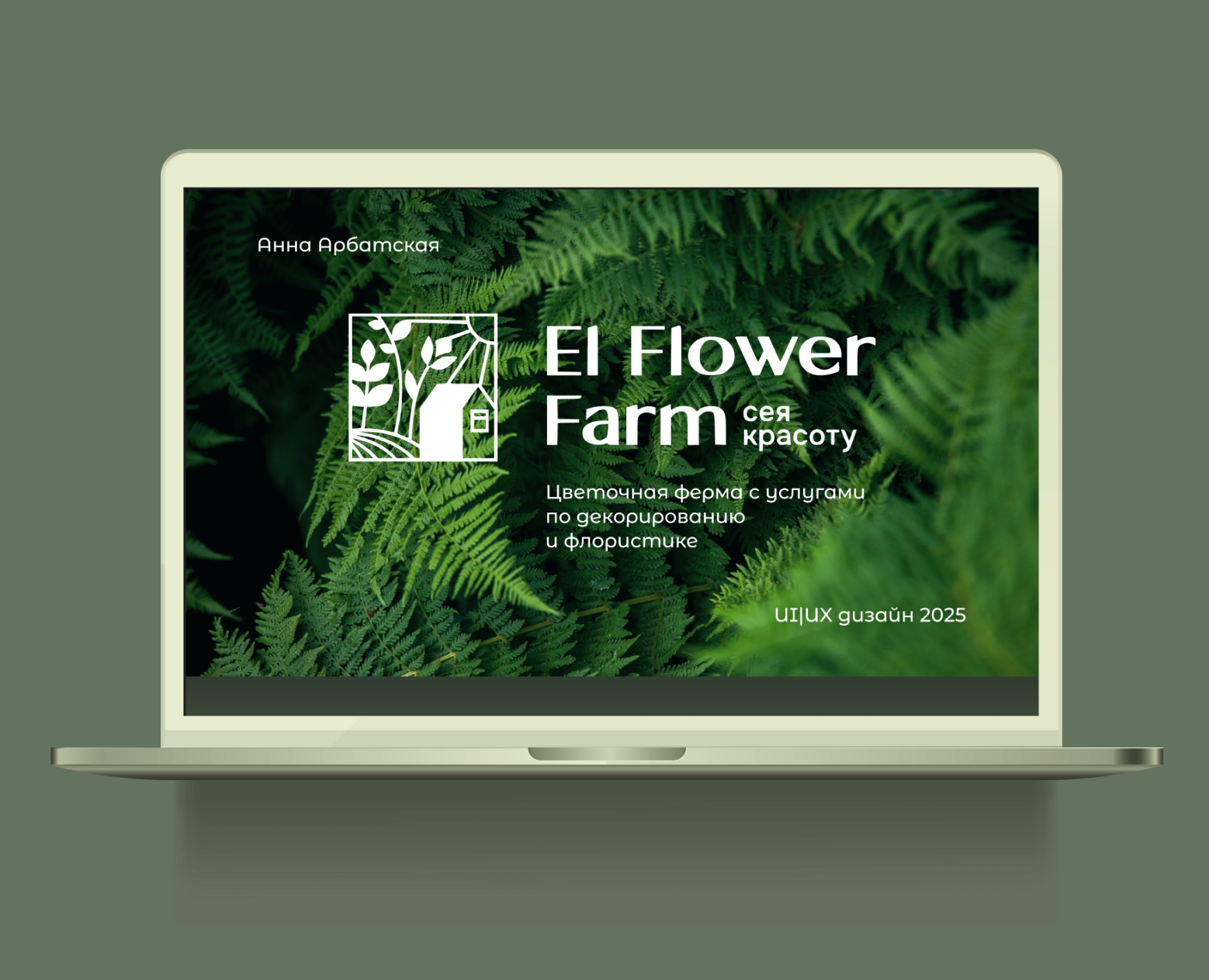 Баннеры/сторис/пост на Dprofile