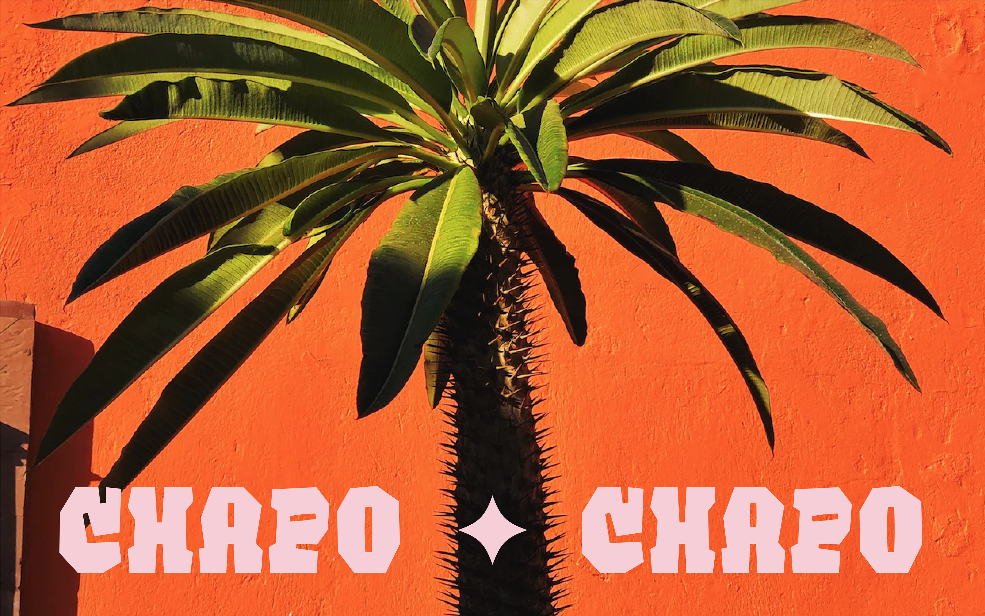 Chapulines — Mexican Twist — Изображение №4 — Брендинг, Иллюстрация на Dprofile