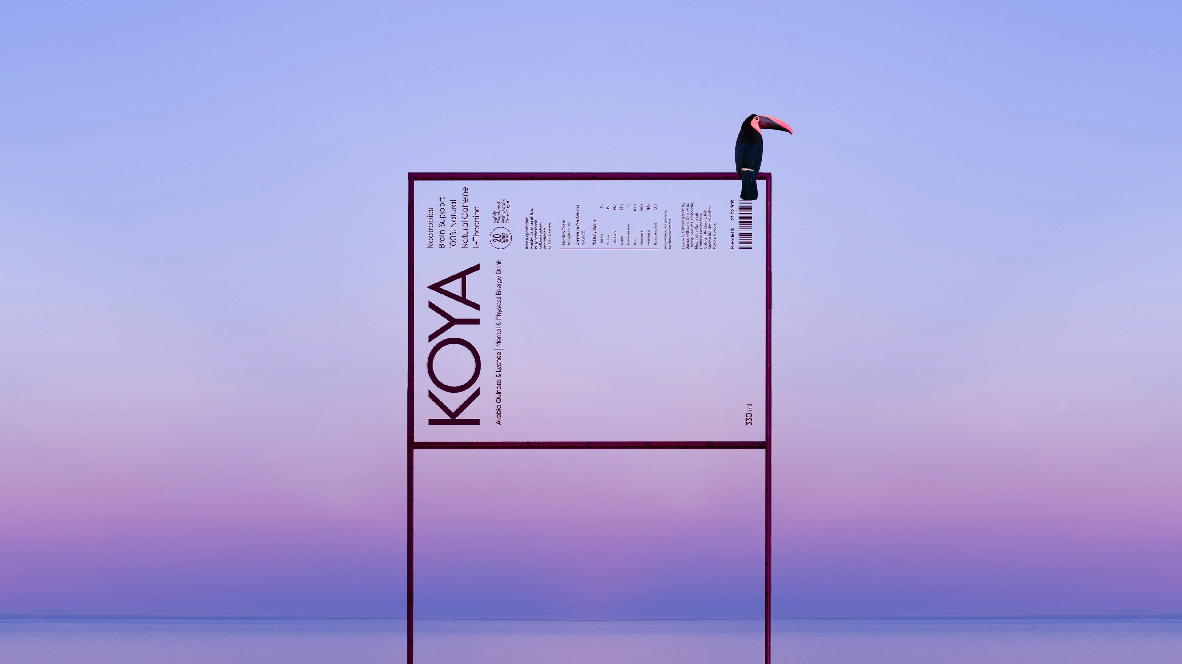 KOYA — Mental & Energy Physical Drink — Изображение №11 — Брендинг на Dprofile