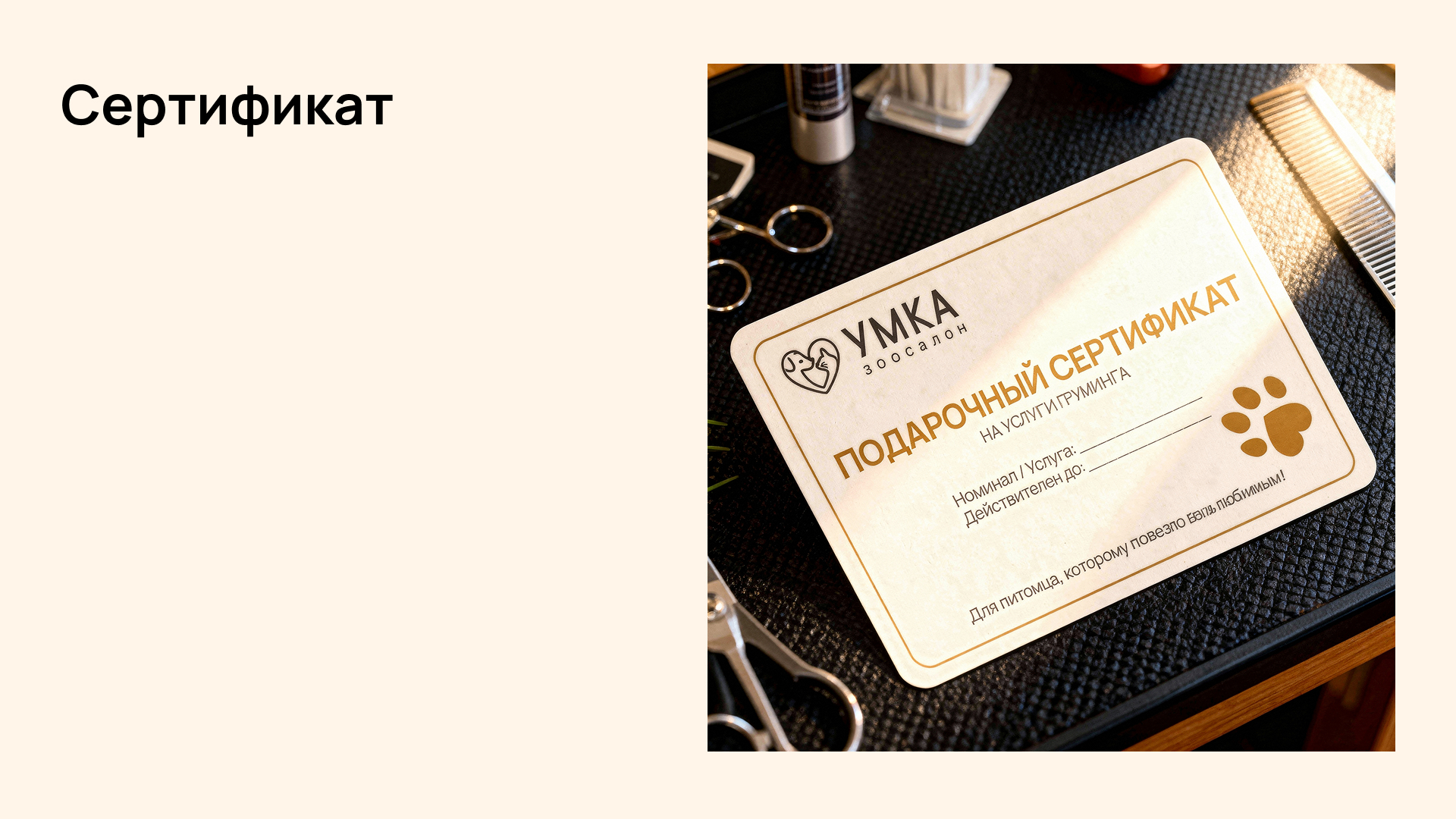 Брендинг для зоосалона — Изображение №13 — Интерфейсы, Брендинг на Dprofile