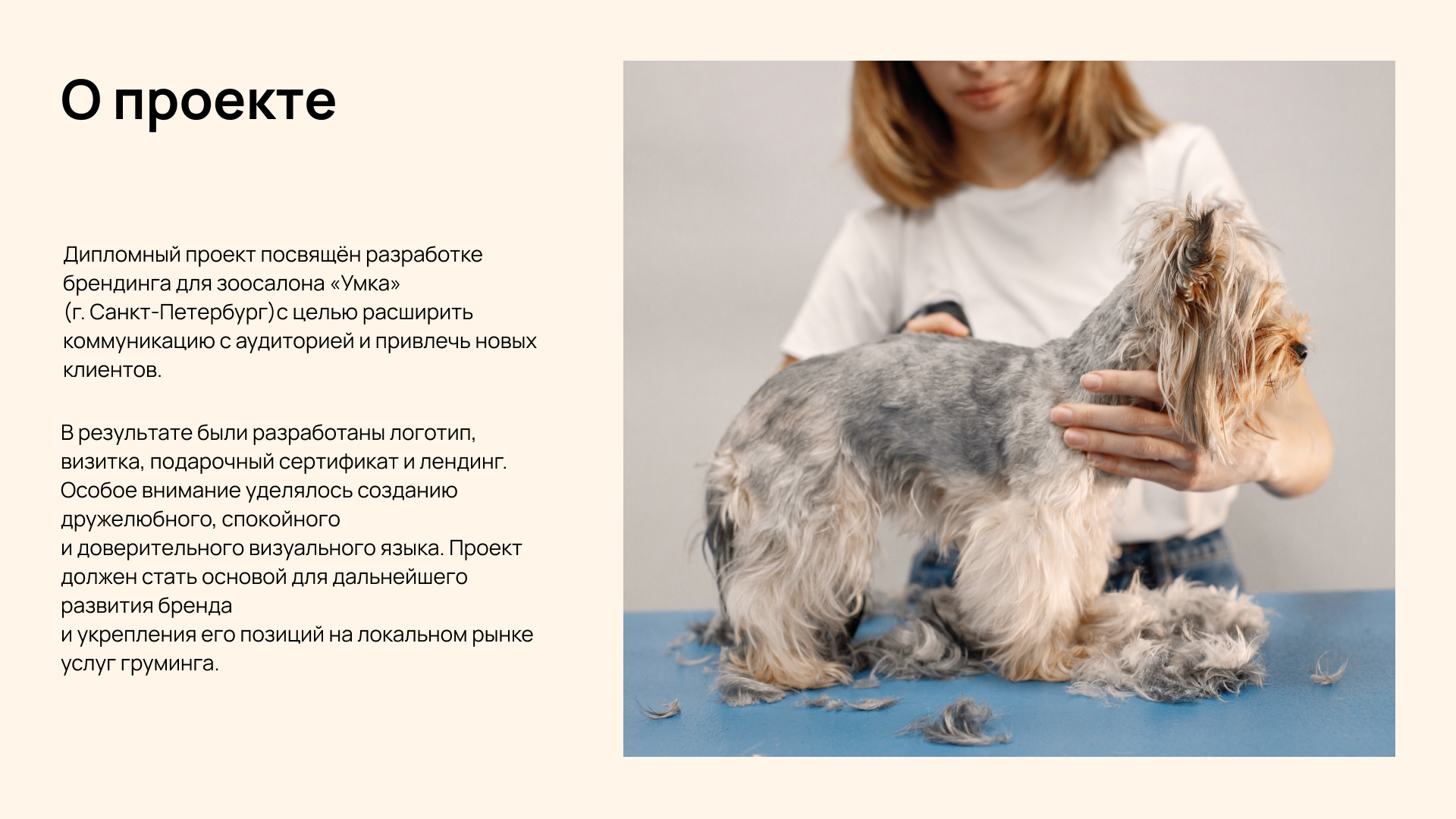 Брендинг для зоосалона — Изображение №1 — Интерфейсы, Брендинг на Dprofile