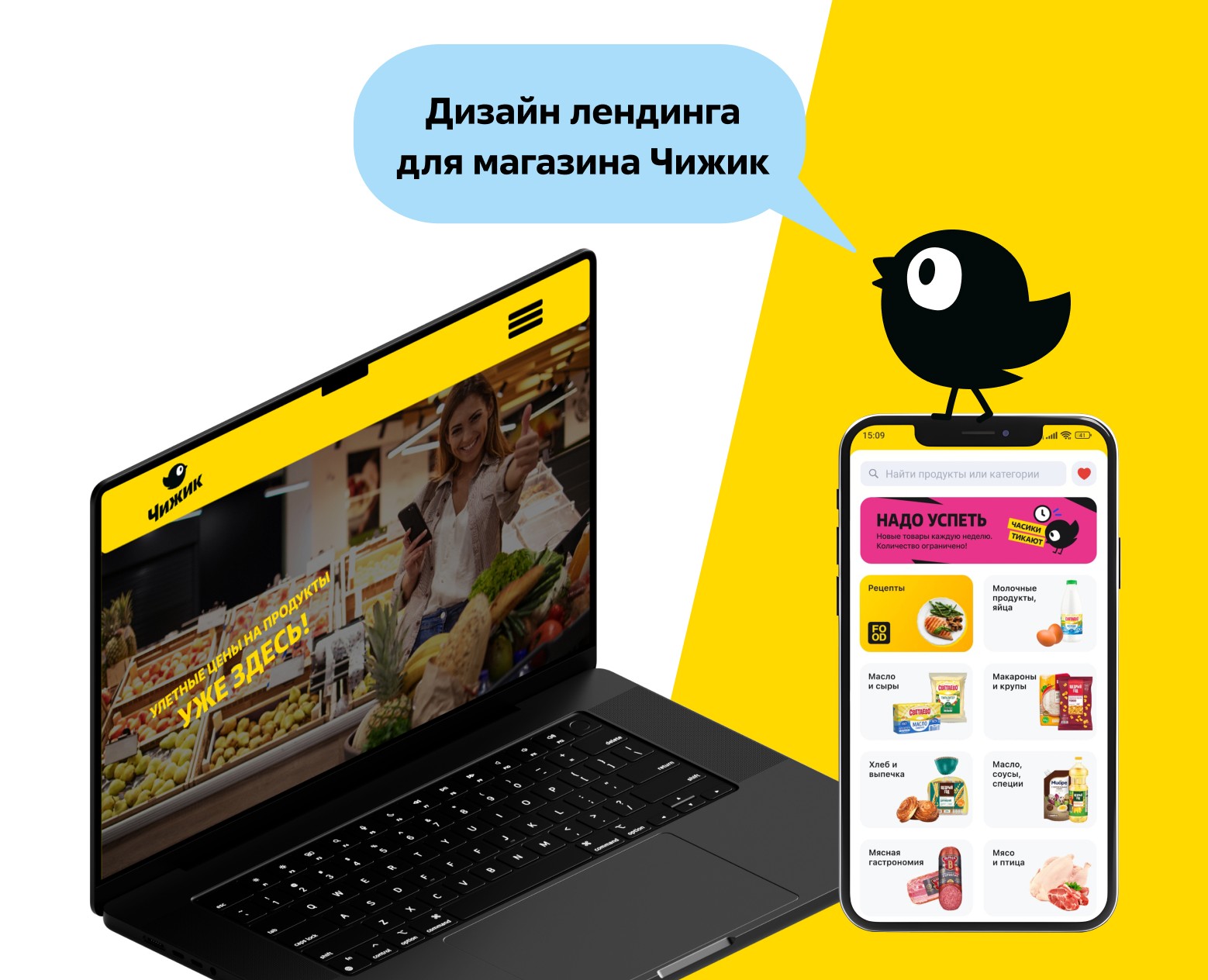 Лендинг для сети Чижик — Интерфейсы, Графика на Dprofile