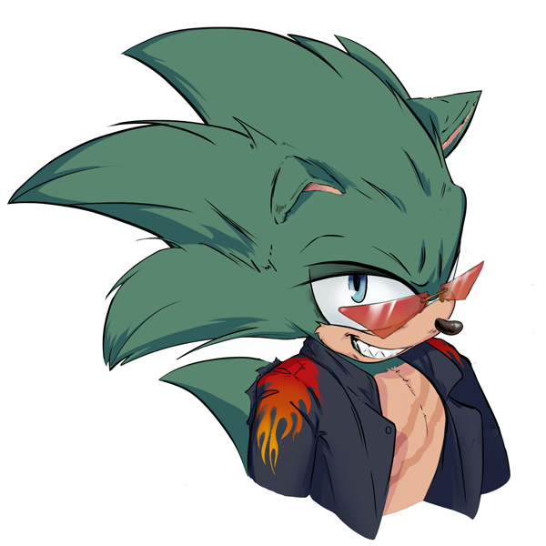 Scourge the Hedgehog — Изображение №1 — Иллюстрация на Dprofile