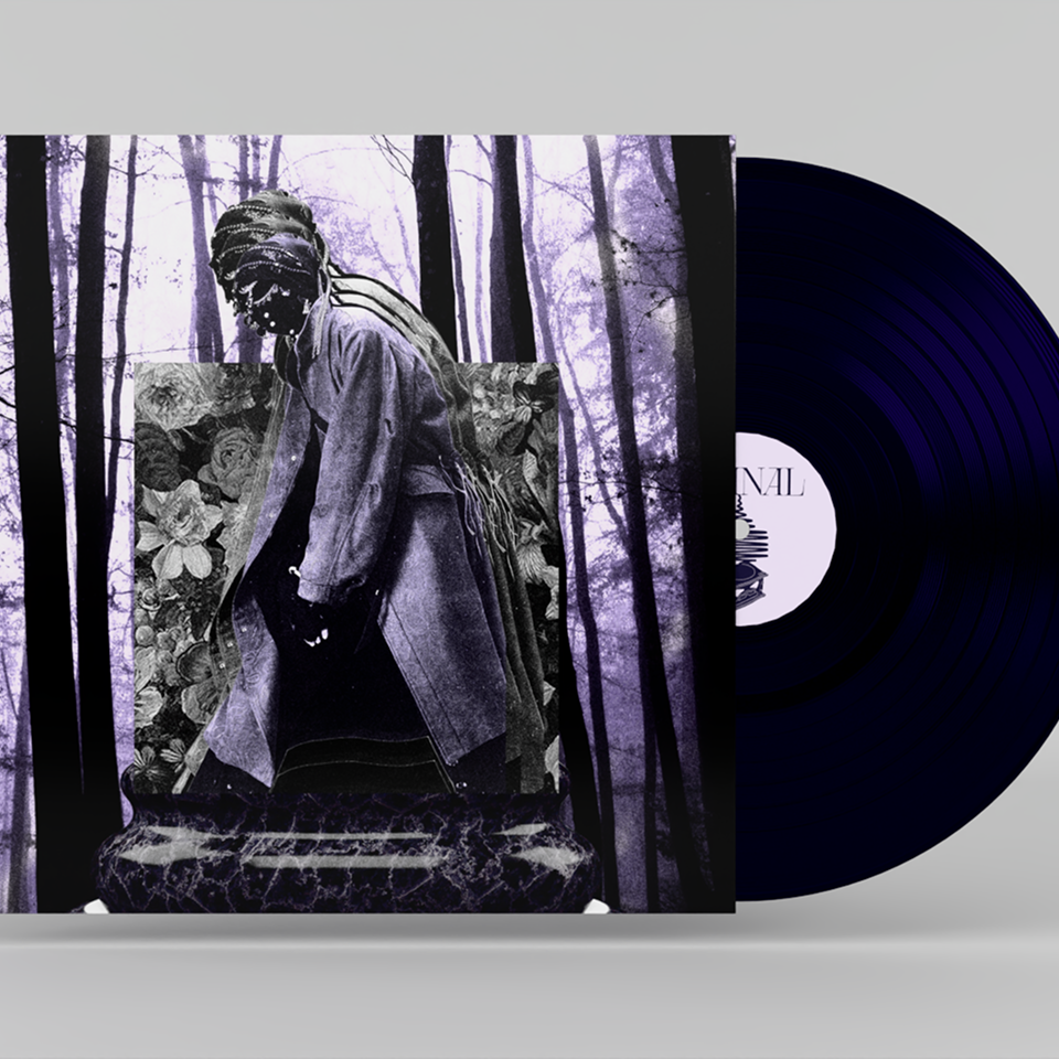 LIMINAL — арт-дирекшн, плакаты и веб-дизайн — Изображение №9 — Интерфейсы, Брендинг на Dprofile