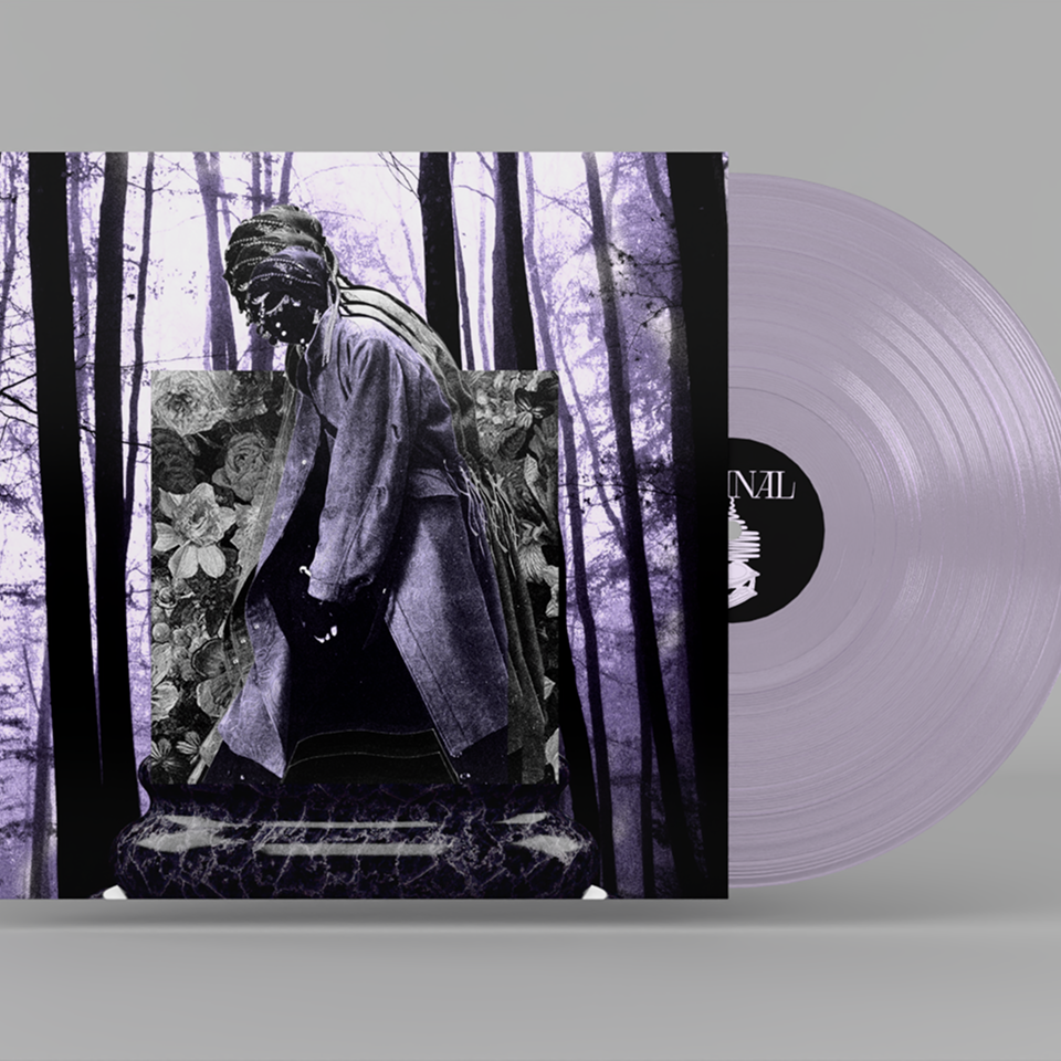 LIMINAL — арт-дирекшн, плакаты и веб-дизайн — Изображение №8 — Интерфейсы, Брендинг на Dprofile