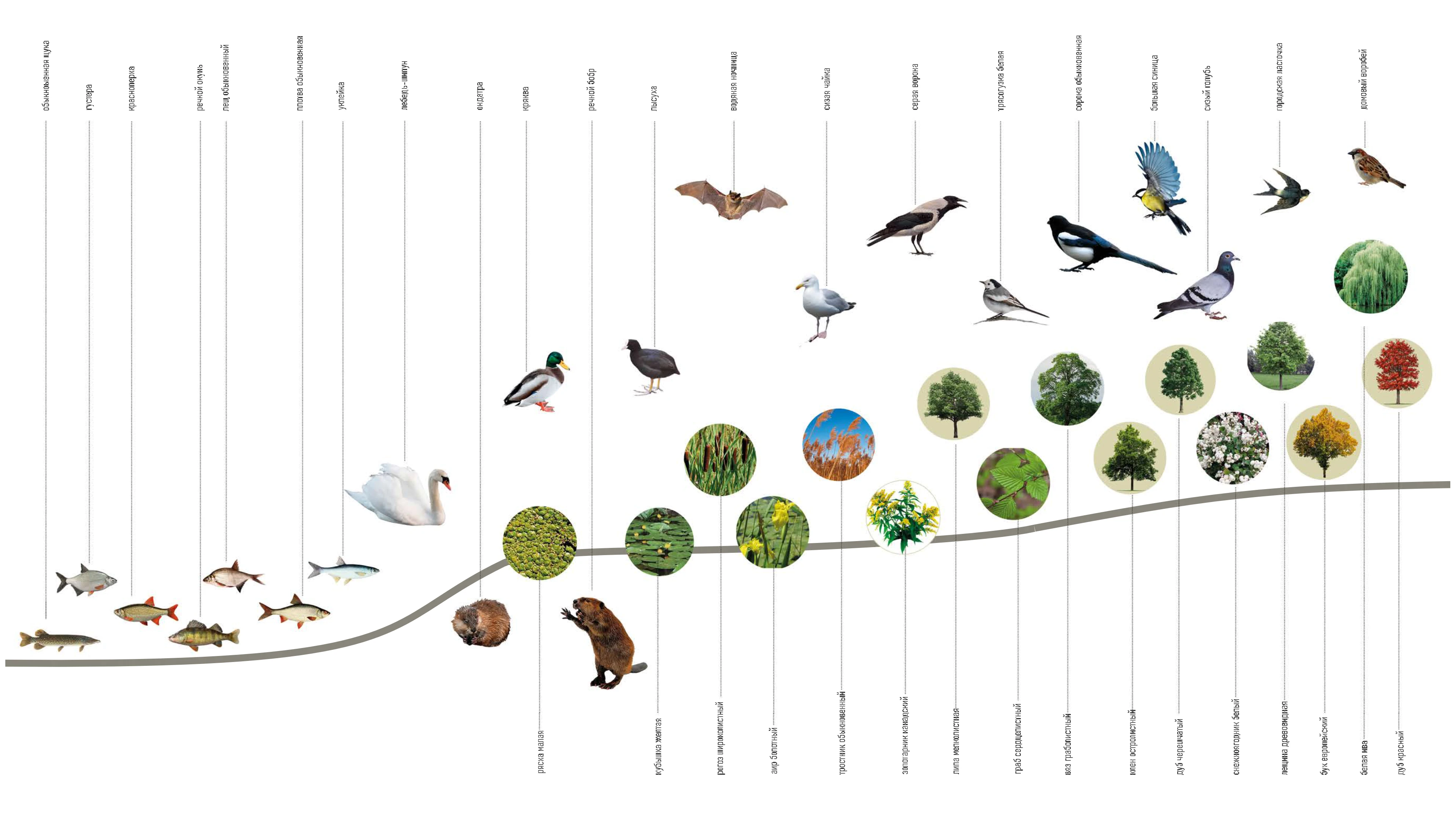 ЗАОЗЕРЬЕ — Изображение №7 — Иллюстрация, 3D на Dprofile