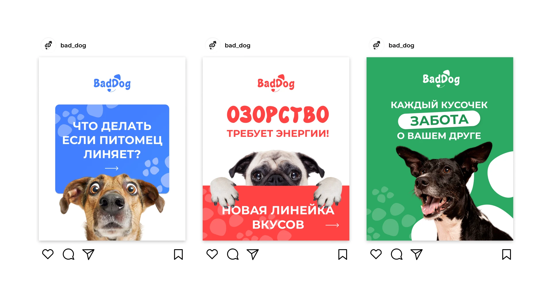 Брендинг и упаковка корма для собак — Изображение №7 — Брендинг на Dprofile