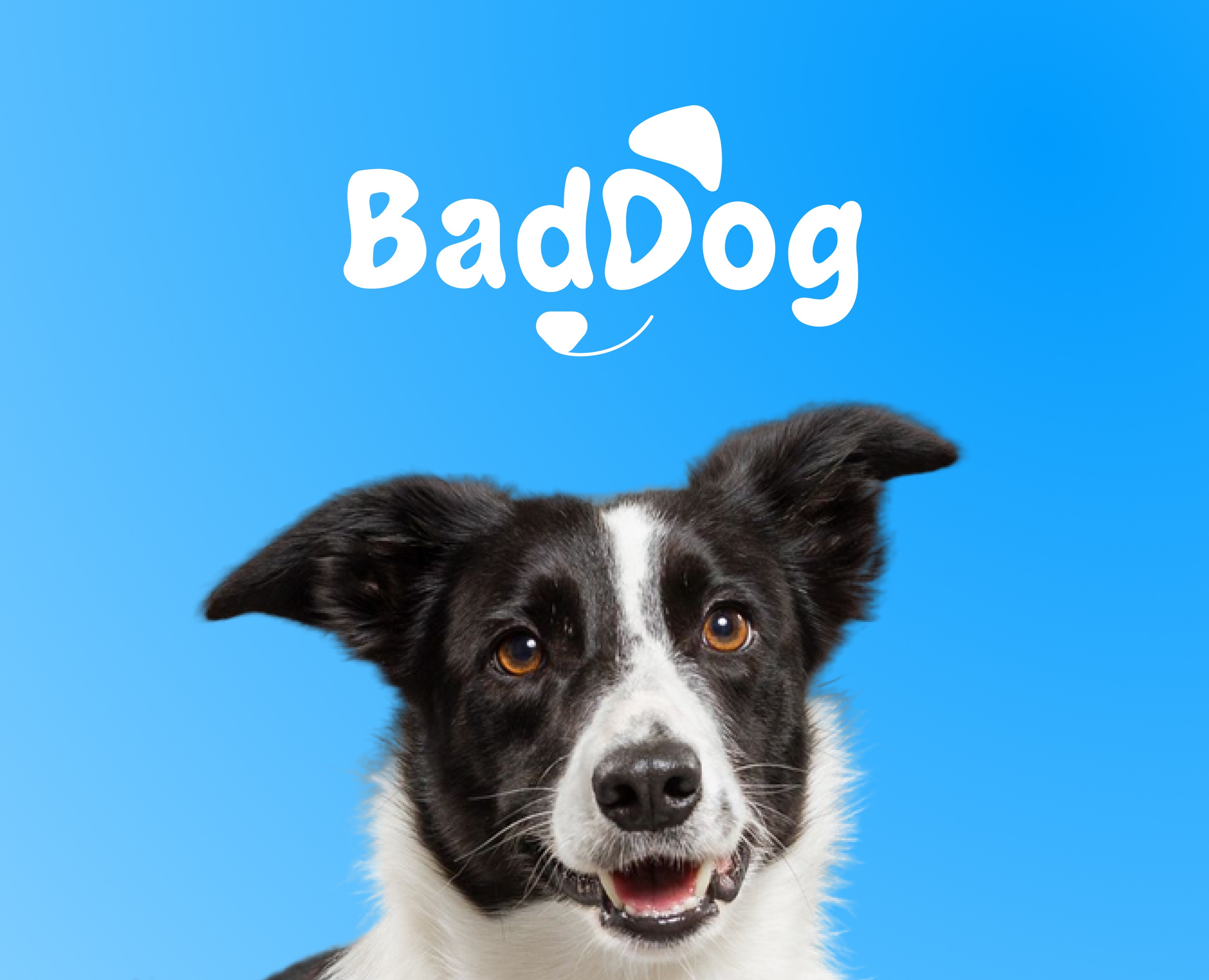 Брендинг и упаковка корма для собак — Брендинг на Dprofile