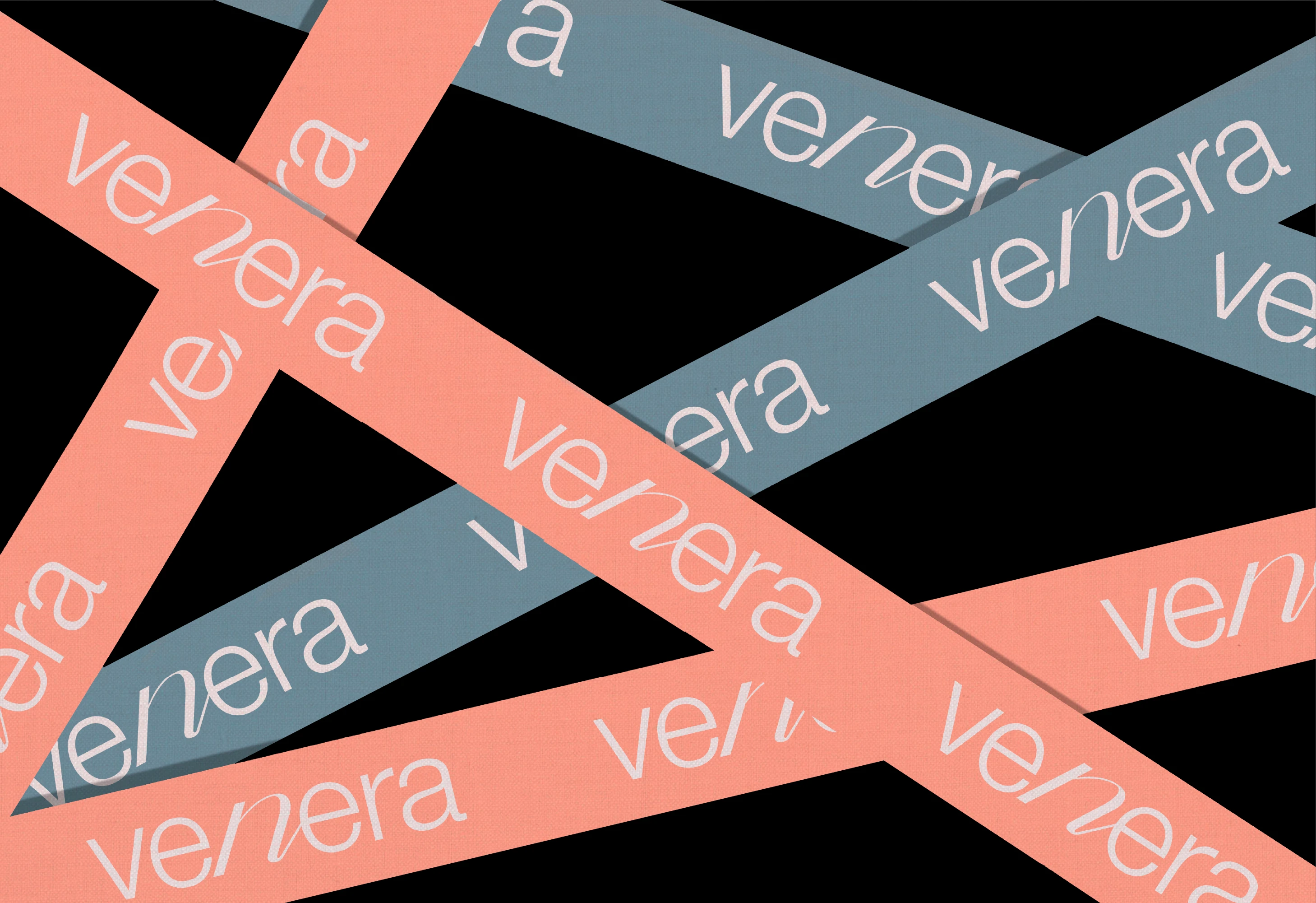 VENERA | Фирменный стиль для бренда одежды — Изображение №10 — Брендинг, Графика на Dprofile