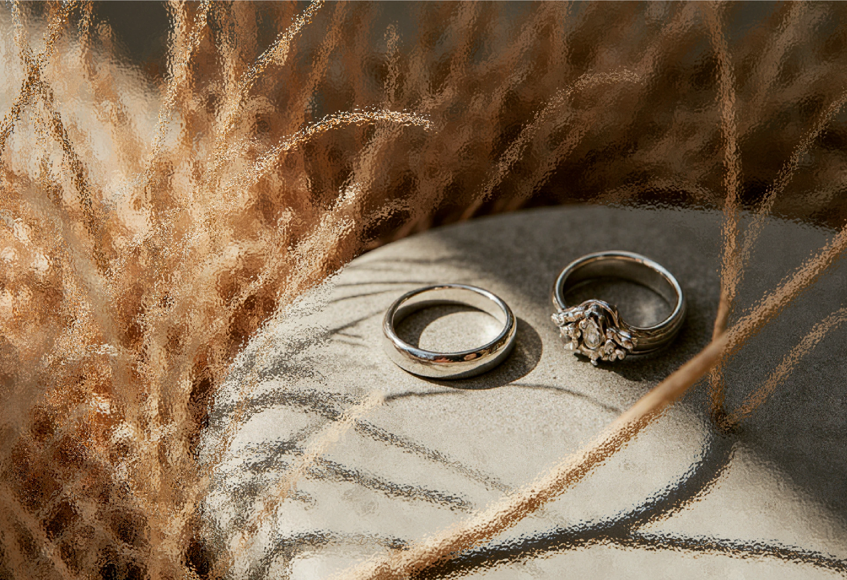 VENERA | Фирменный стиль для бренда одежды — Изображение №6 — Брендинг, Графика на Dprofile