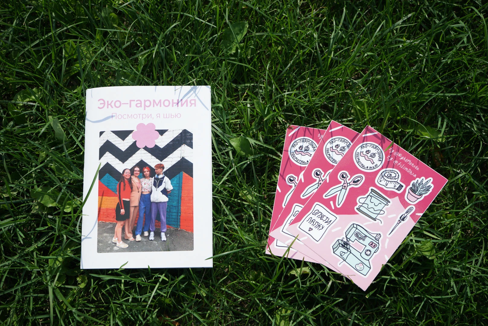 Зин и стикерпак для Эко-гармонии — Изображение №1 — Брендинг, Графика на Dprofile