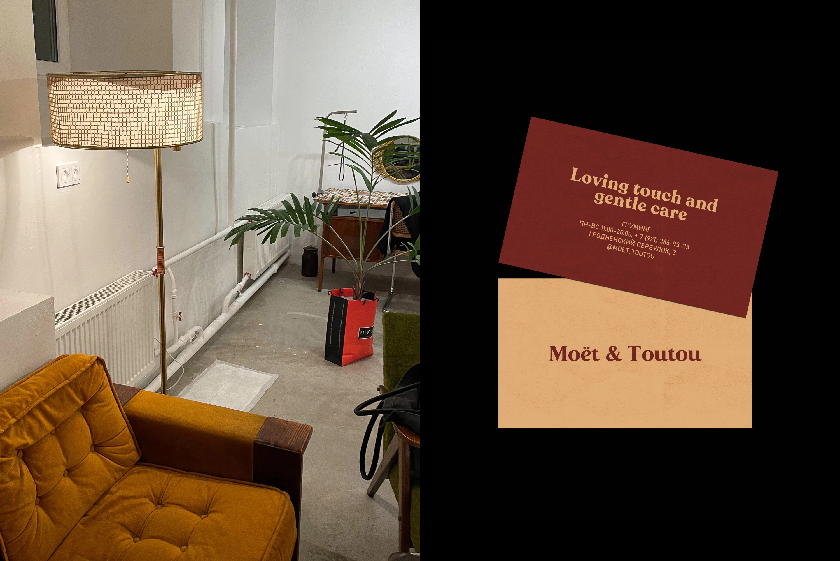 MOET & TOUTOU | Grooming salon — Изображение №6 — Брендинг на Dprofile