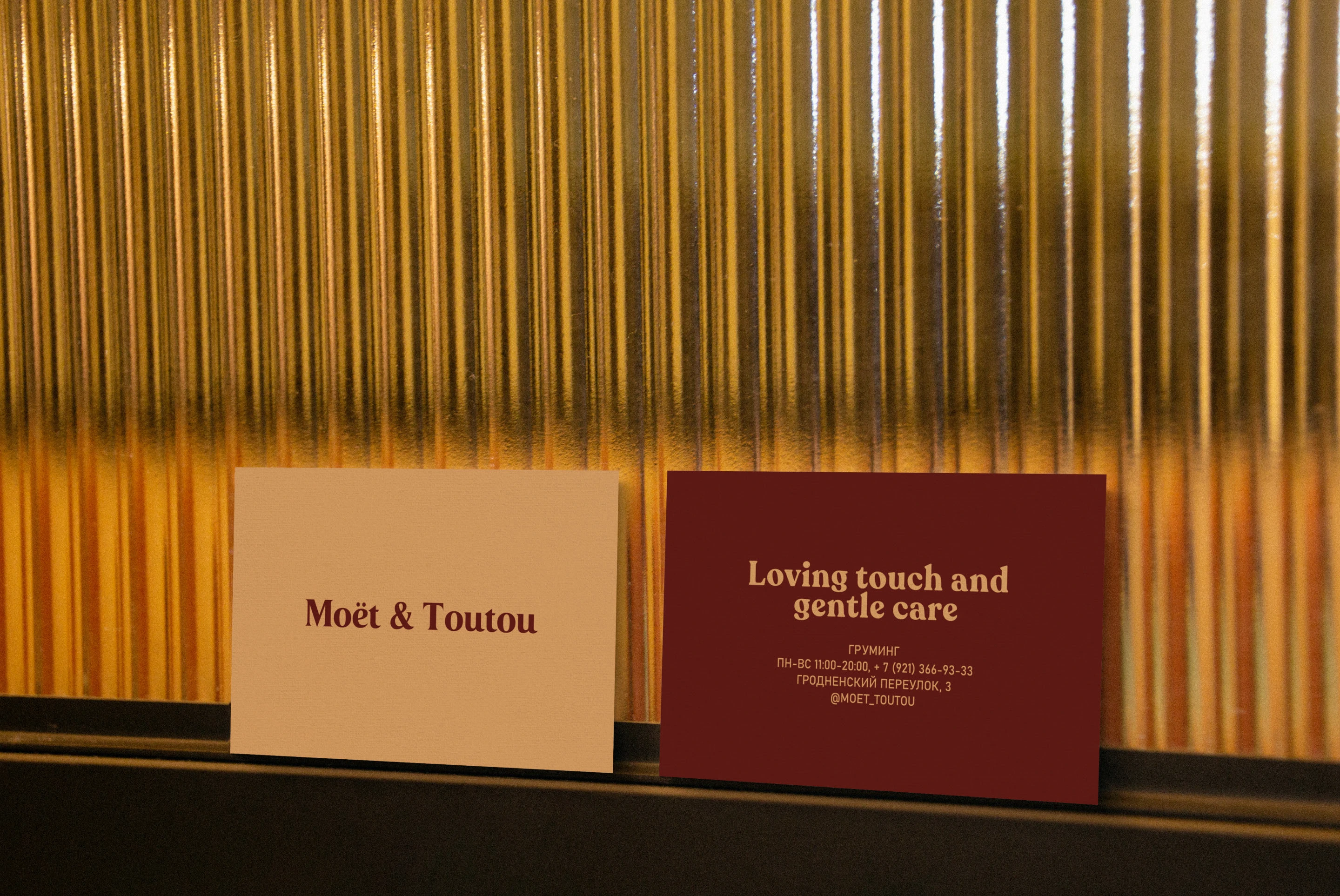MOET & TOUTOU | Grooming salon — Изображение №5 — Брендинг на Dprofile