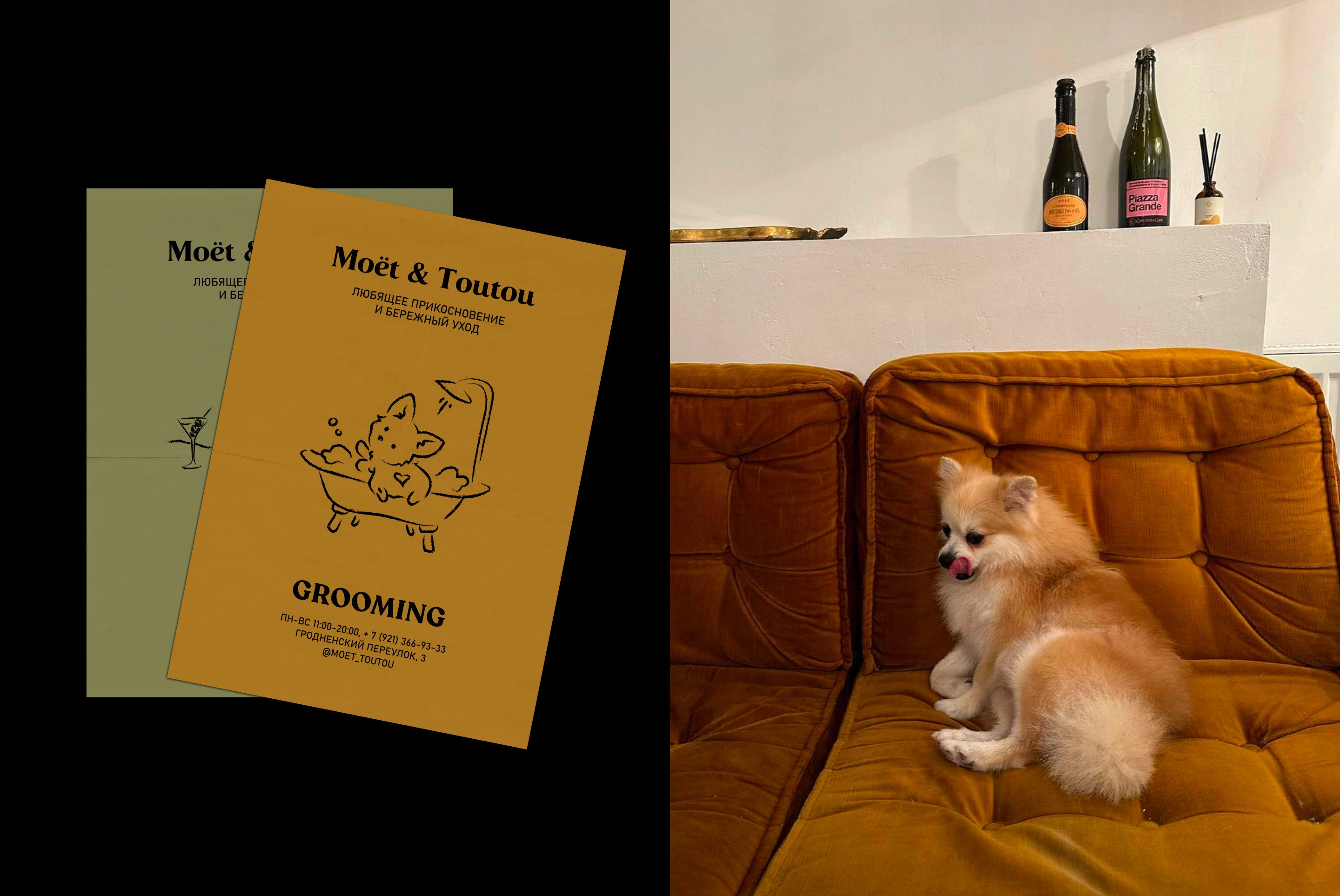MOET & TOUTOU | Grooming salon — Изображение №8 — Брендинг на Dprofile