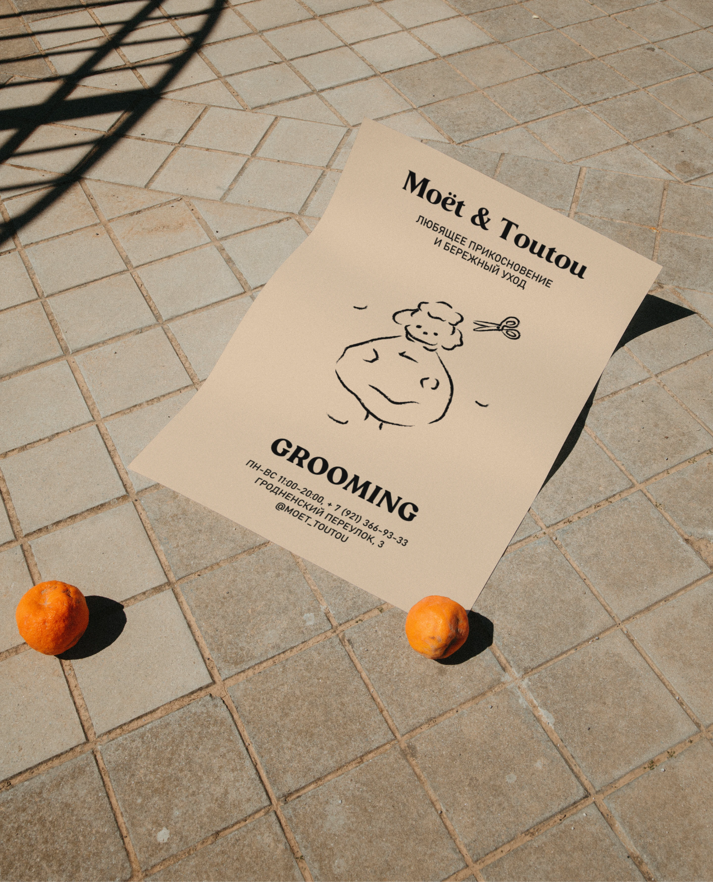 MOET & TOUTOU | Grooming salon — Изображение №10 — Брендинг на Dprofile