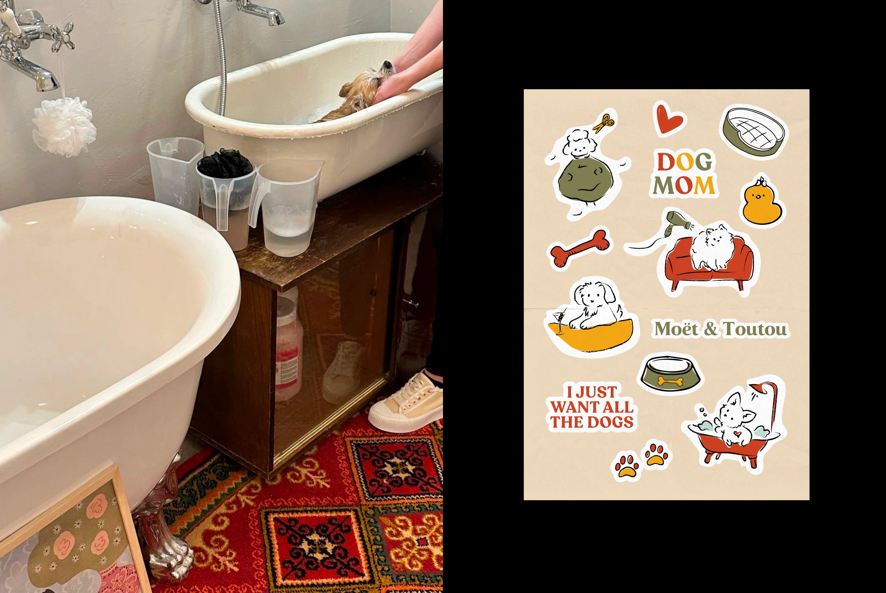 MOET & TOUTOU | Grooming salon — Изображение №9 — Брендинг на Dprofile