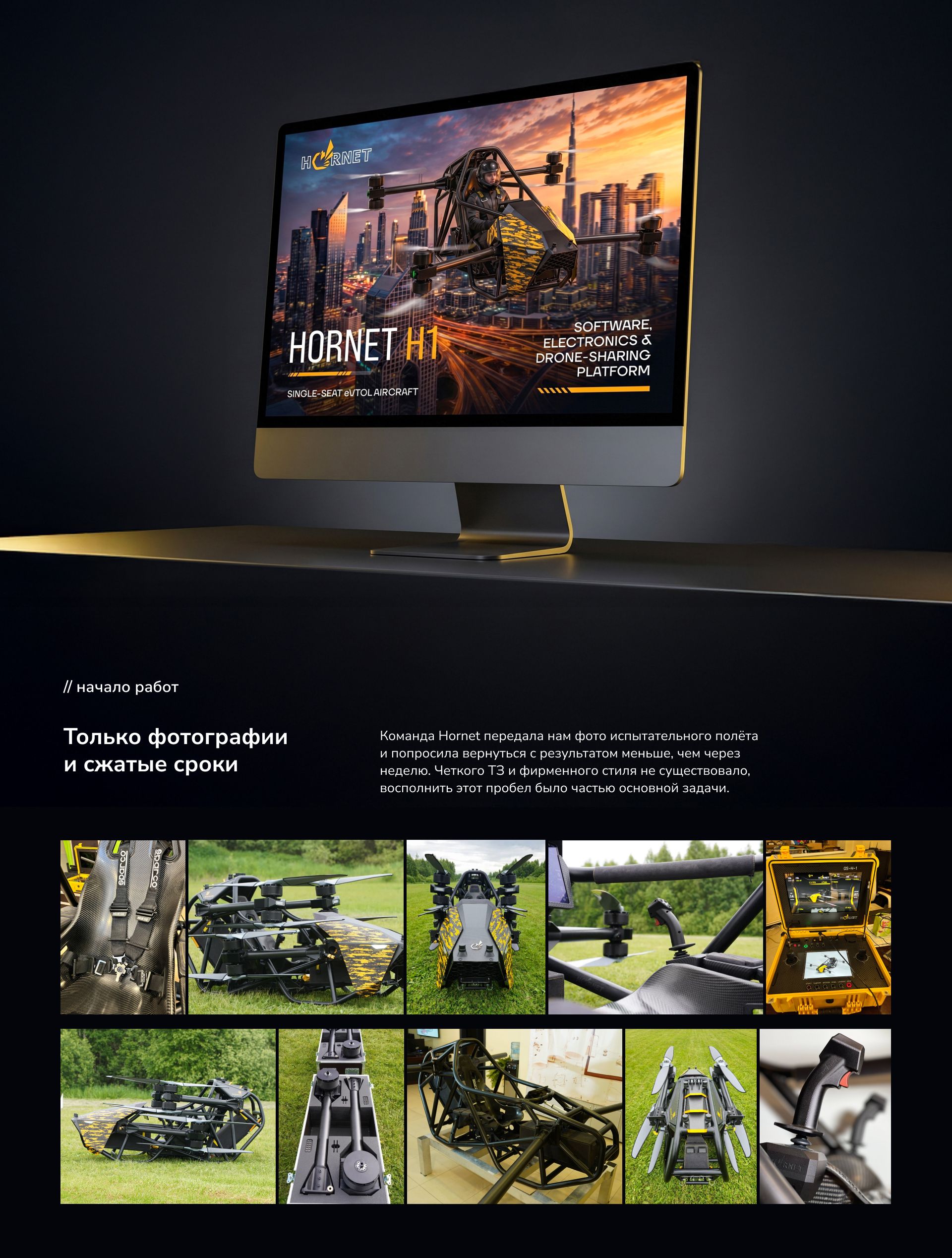 HORNET — презентация для партнёров — Изображение №2 — Брендинг, Маркетинг на Dprofile