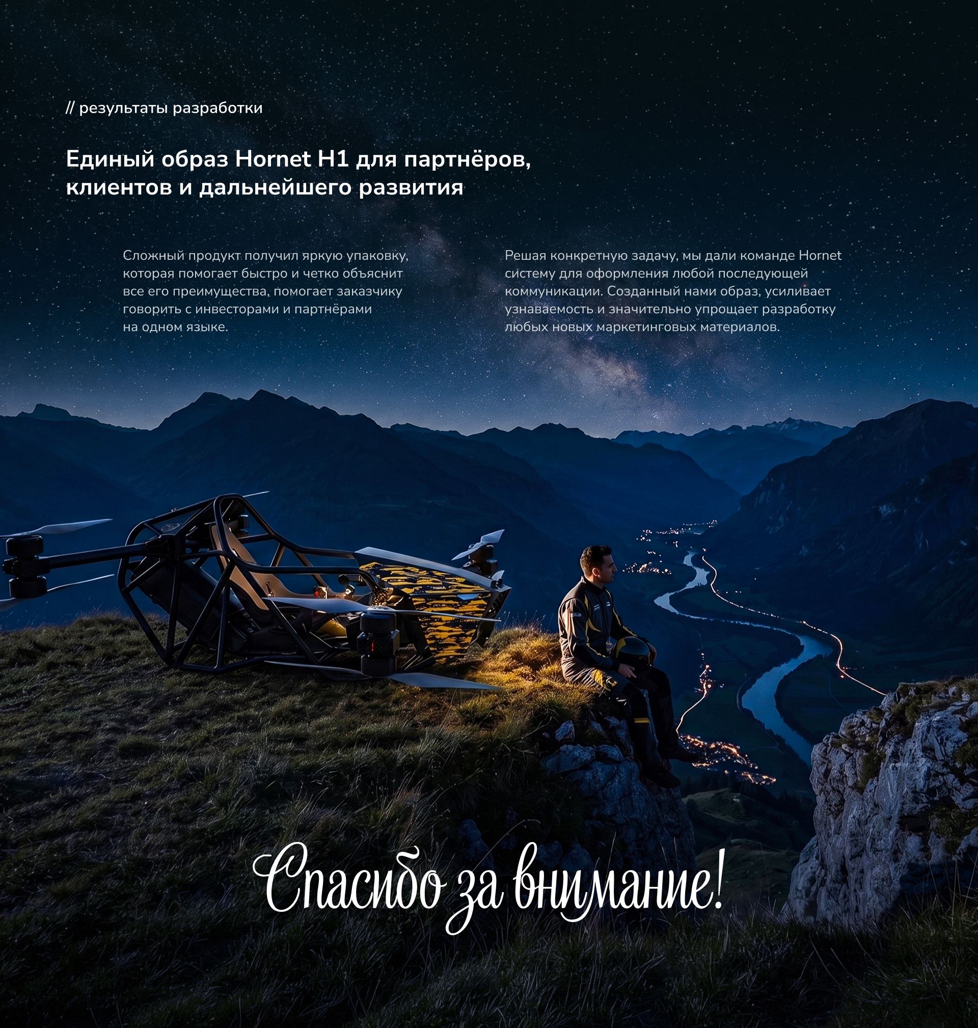 HORNET — презентация для партнёров — Изображение №9 — Брендинг, Маркетинг на Dprofile