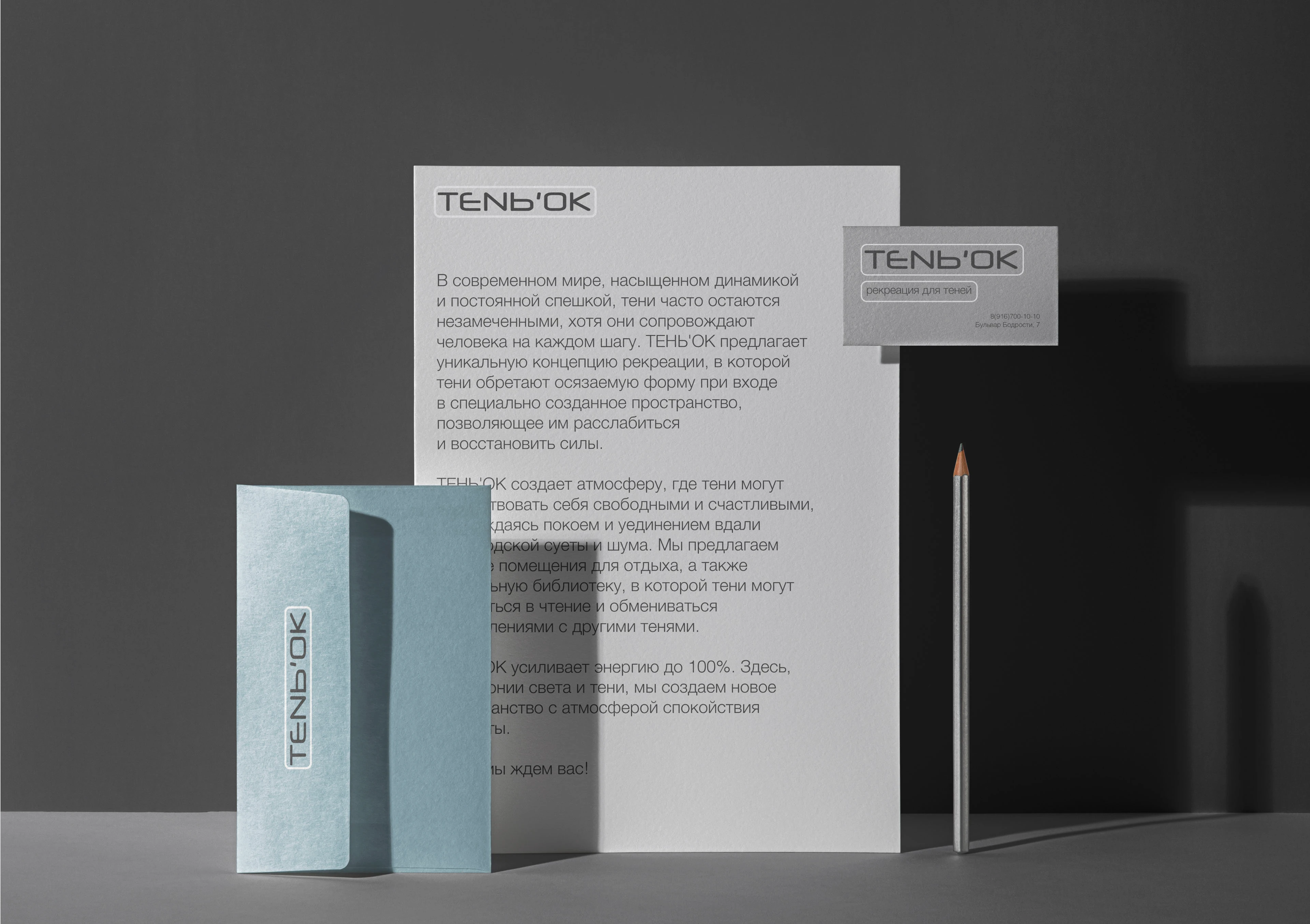 TENЬ'OK — Изображение №4 — Брендинг на Dprofile