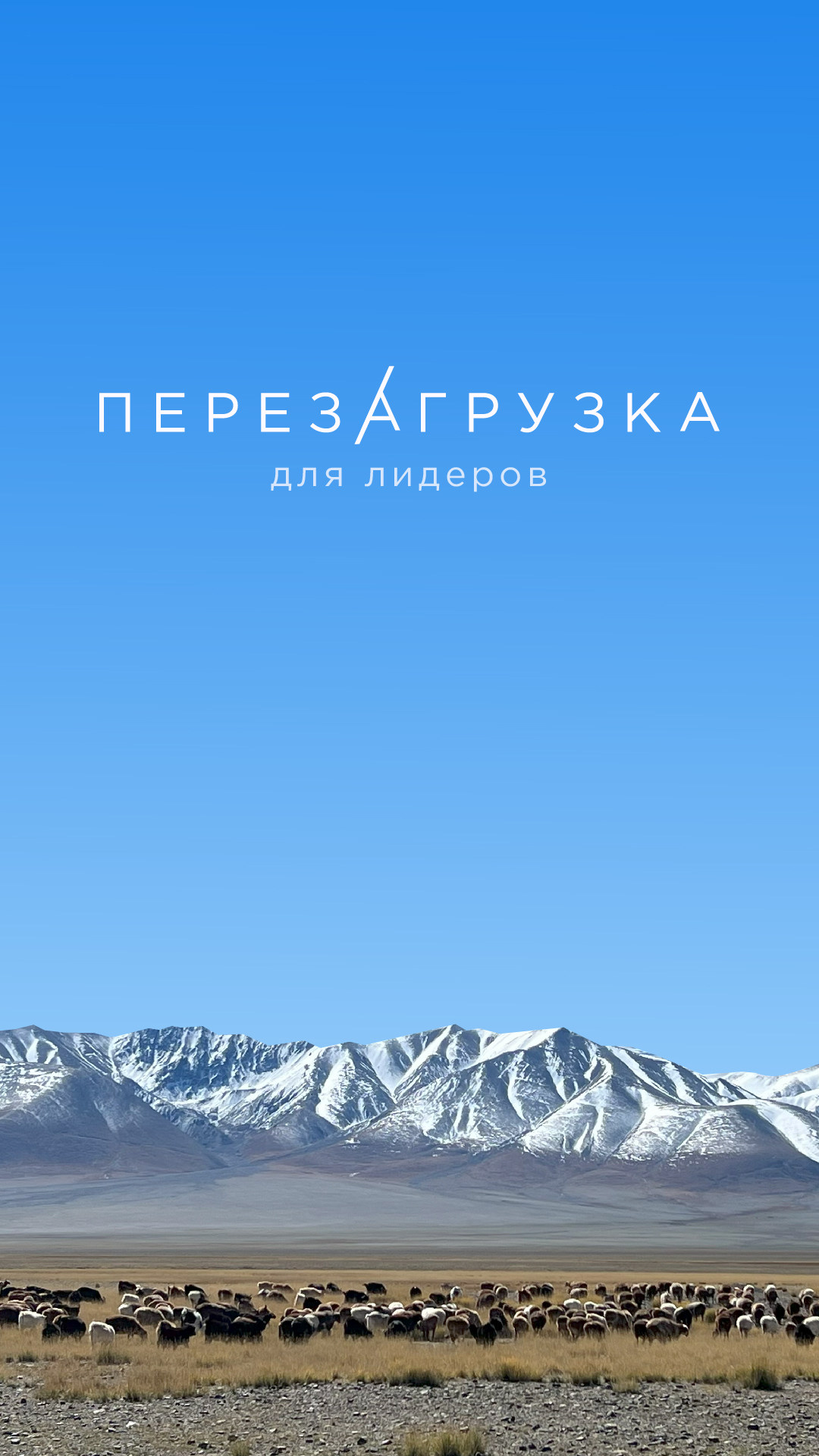 Перезагрузка — Изображение №1 — Интерфейсы, Брендинг на Dprofile
