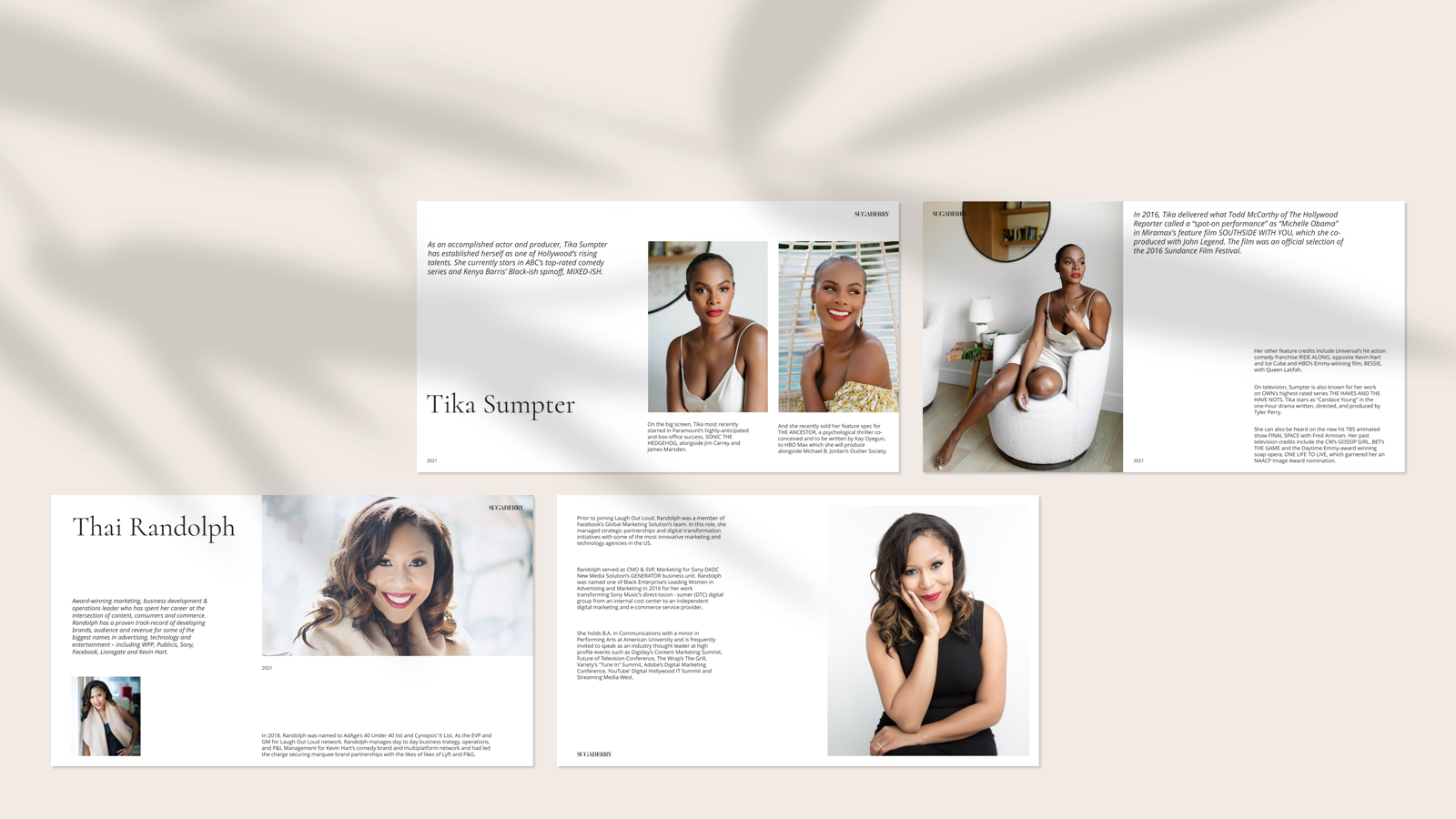 Media Kit — Изображение №3 — Маркетинг на Dprofile