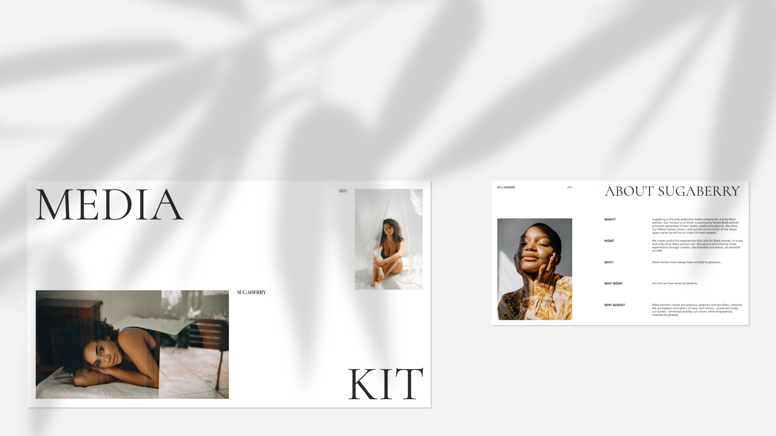 Media Kit — Изображение №2 — Маркетинг на Dprofile