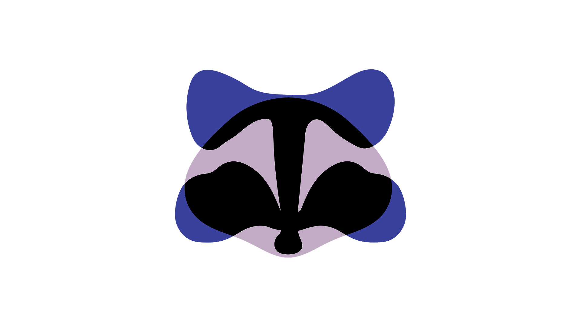 Raccoon signs — Изображение №8 — Брендинг, Графика на Dprofile