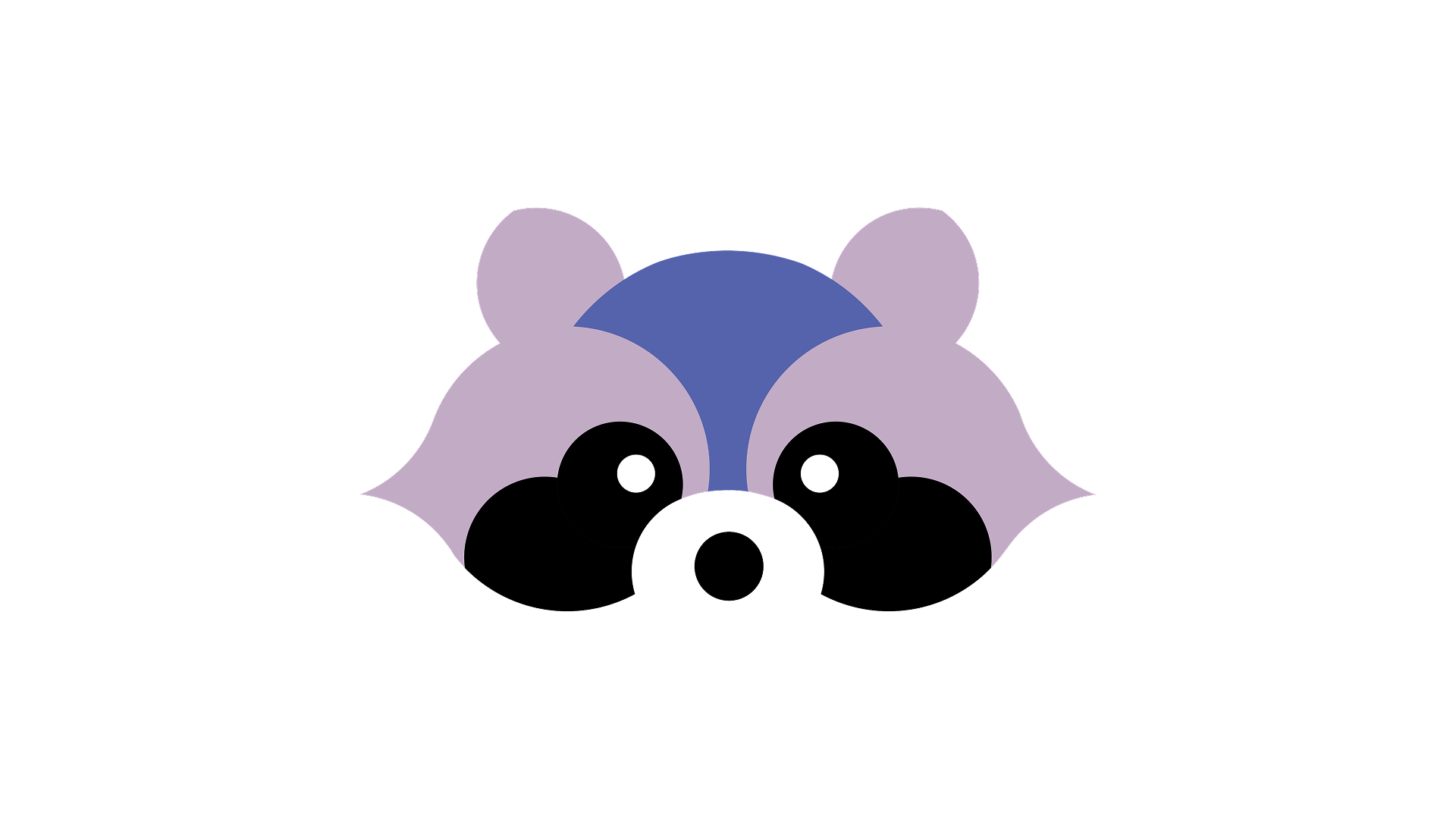 Raccoon signs — Изображение №2 — Брендинг, Графика на Dprofile