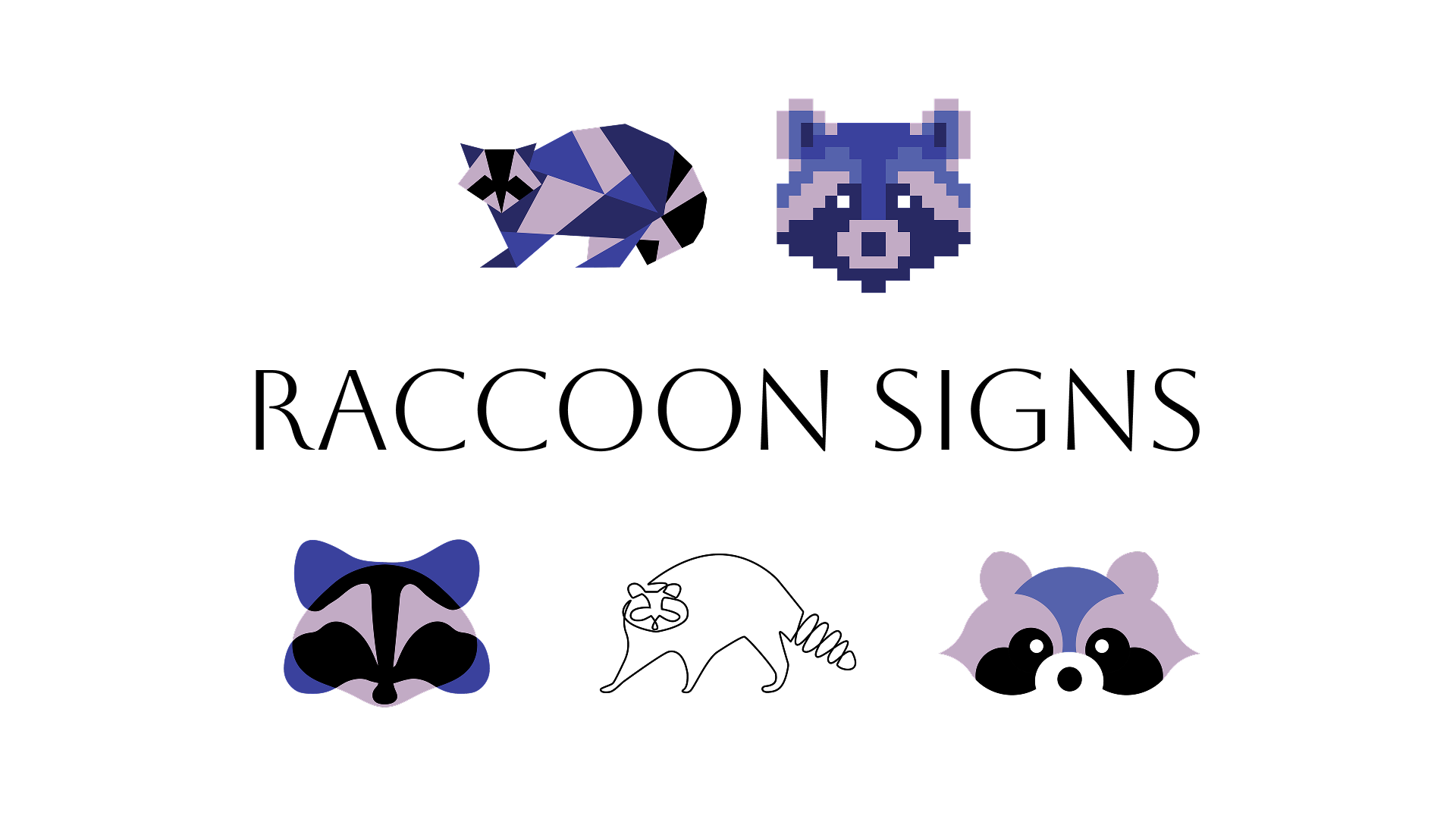 Raccoon signs — Изображение №1 — Брендинг, Графика на Dprofile