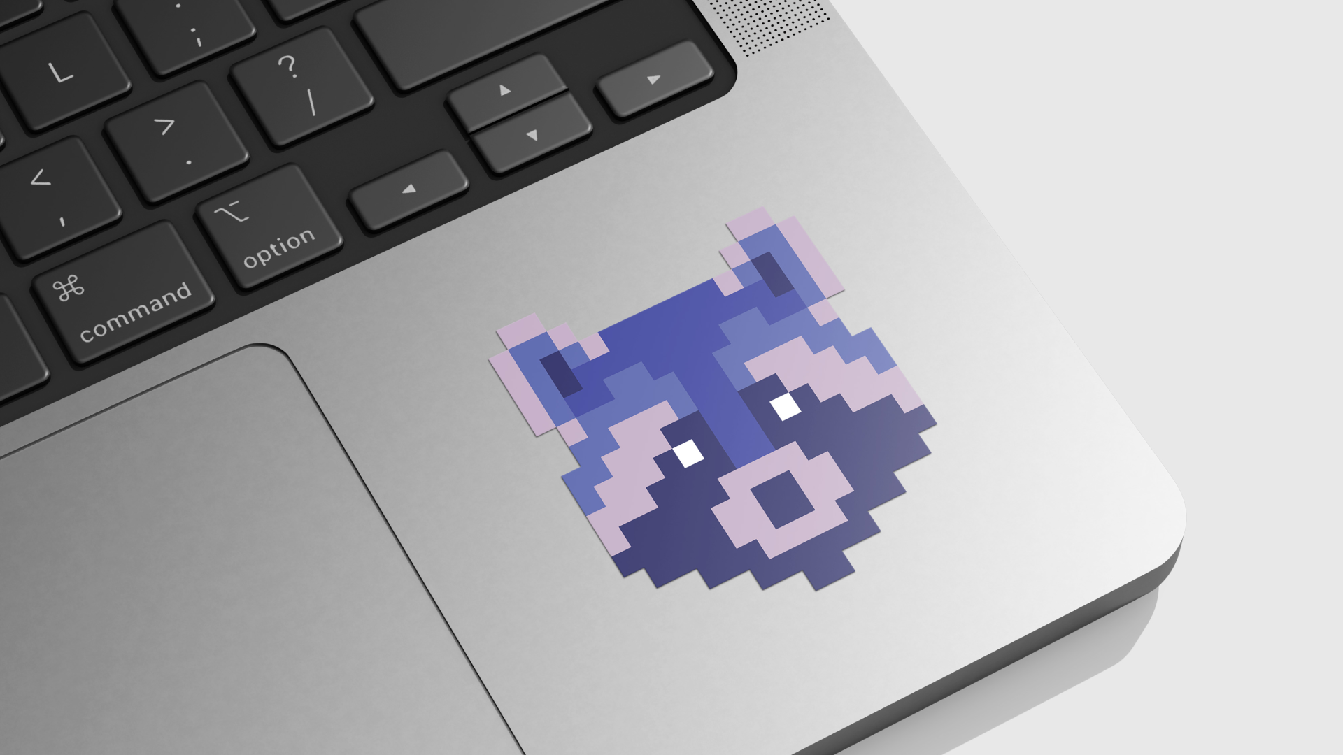 Raccoon signs — Изображение №5 — Брендинг, Графика на Dprofile