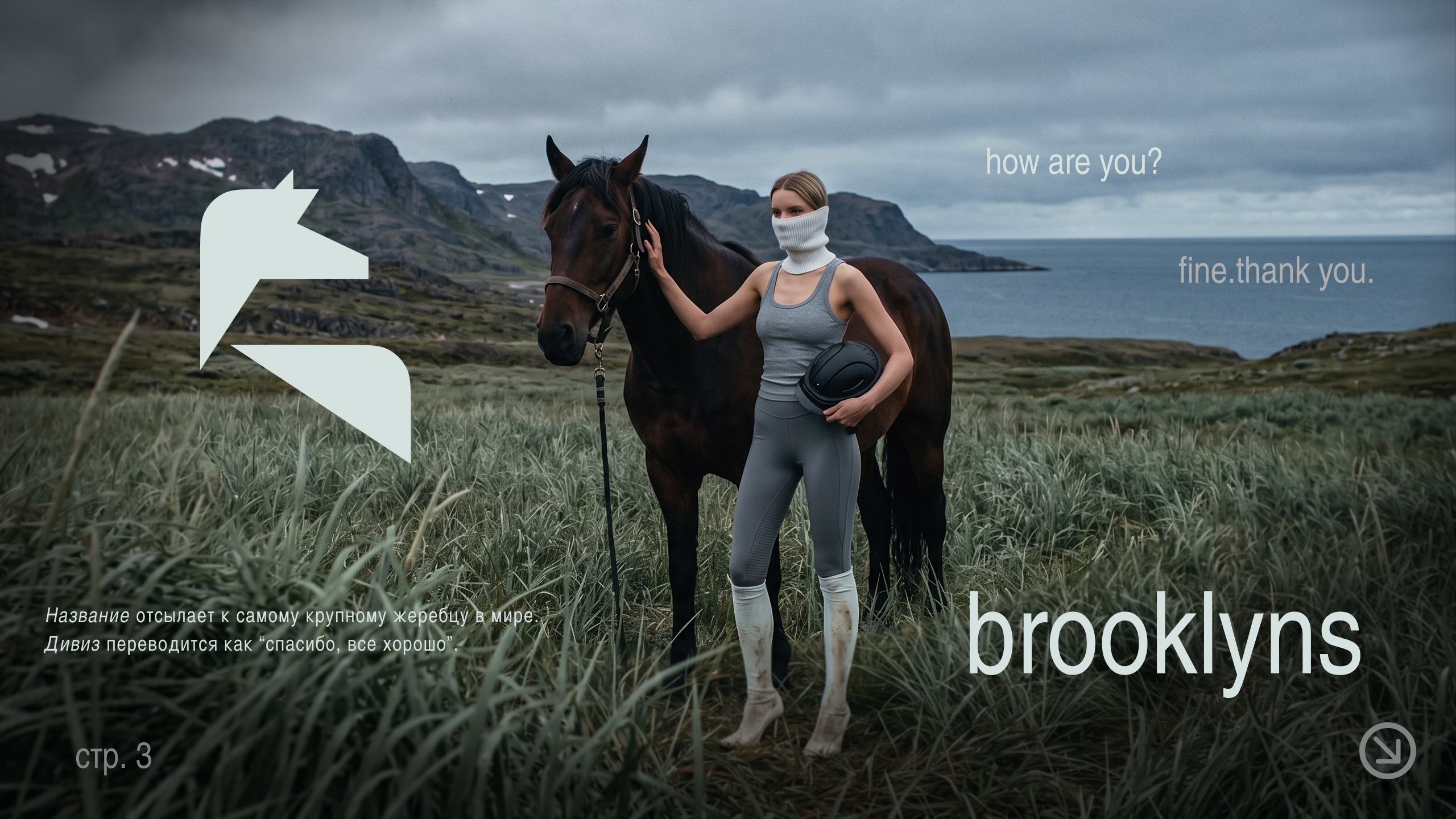 Шлем brooklins — Изображение №4 — Брендинг, Промдизайн на Dprofile