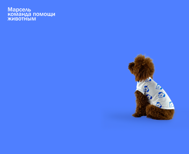 Разработка фирменного стиля для команды "Марсель" — Брендинг на Dprofile