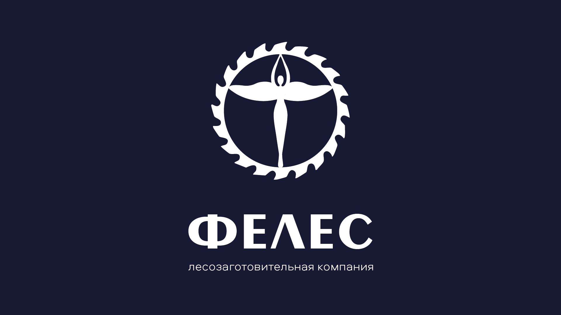 ФЕЛЕС — Изображение №1 — Брендинг на Dprofile