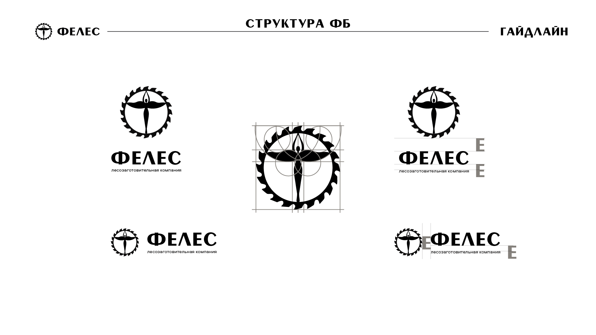 ФЕЛЕС — Изображение №4 — Брендинг на Dprofile