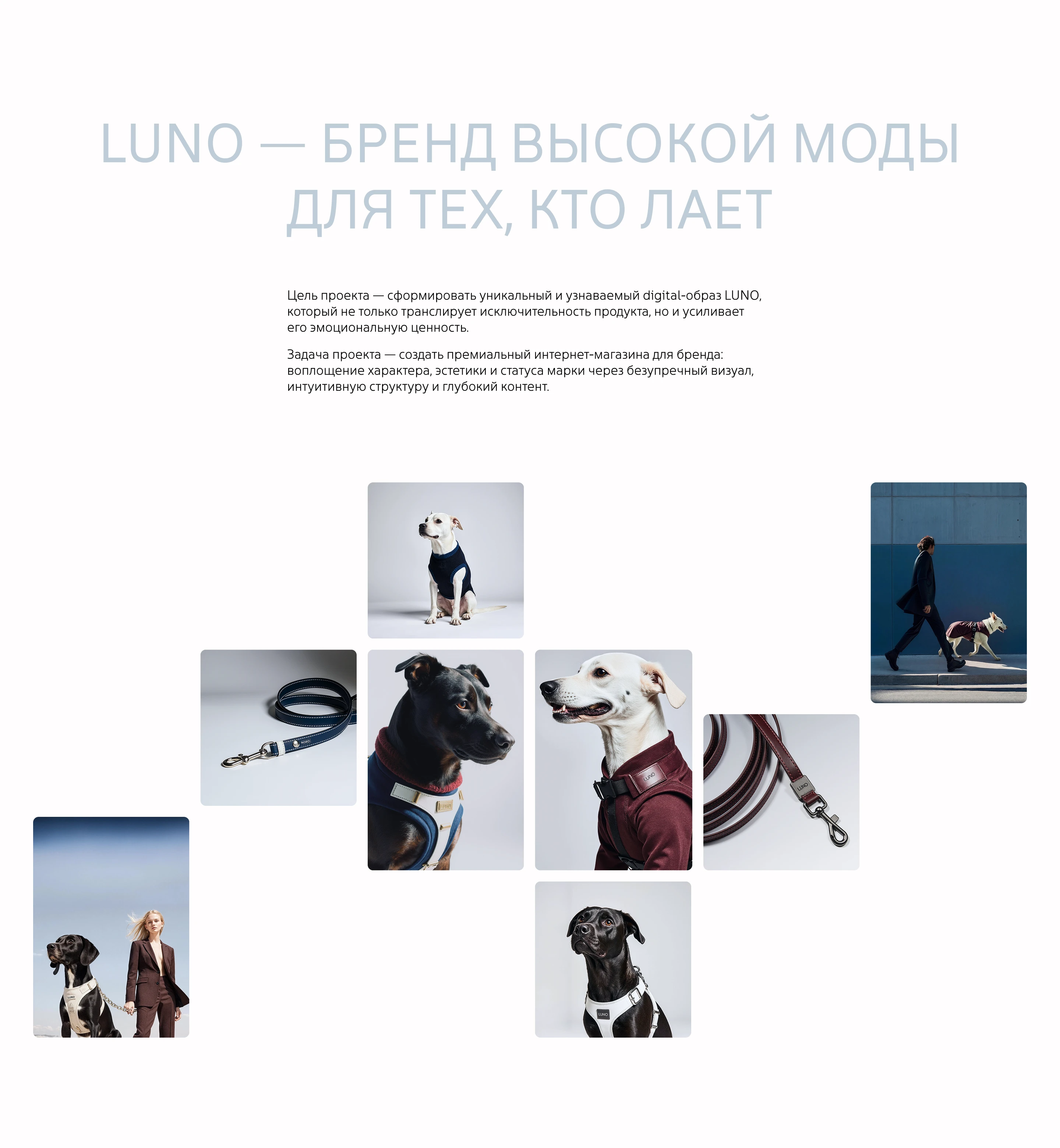 Luno Интернет магазин — Изображение №2 — Интерфейсы на Dprofile