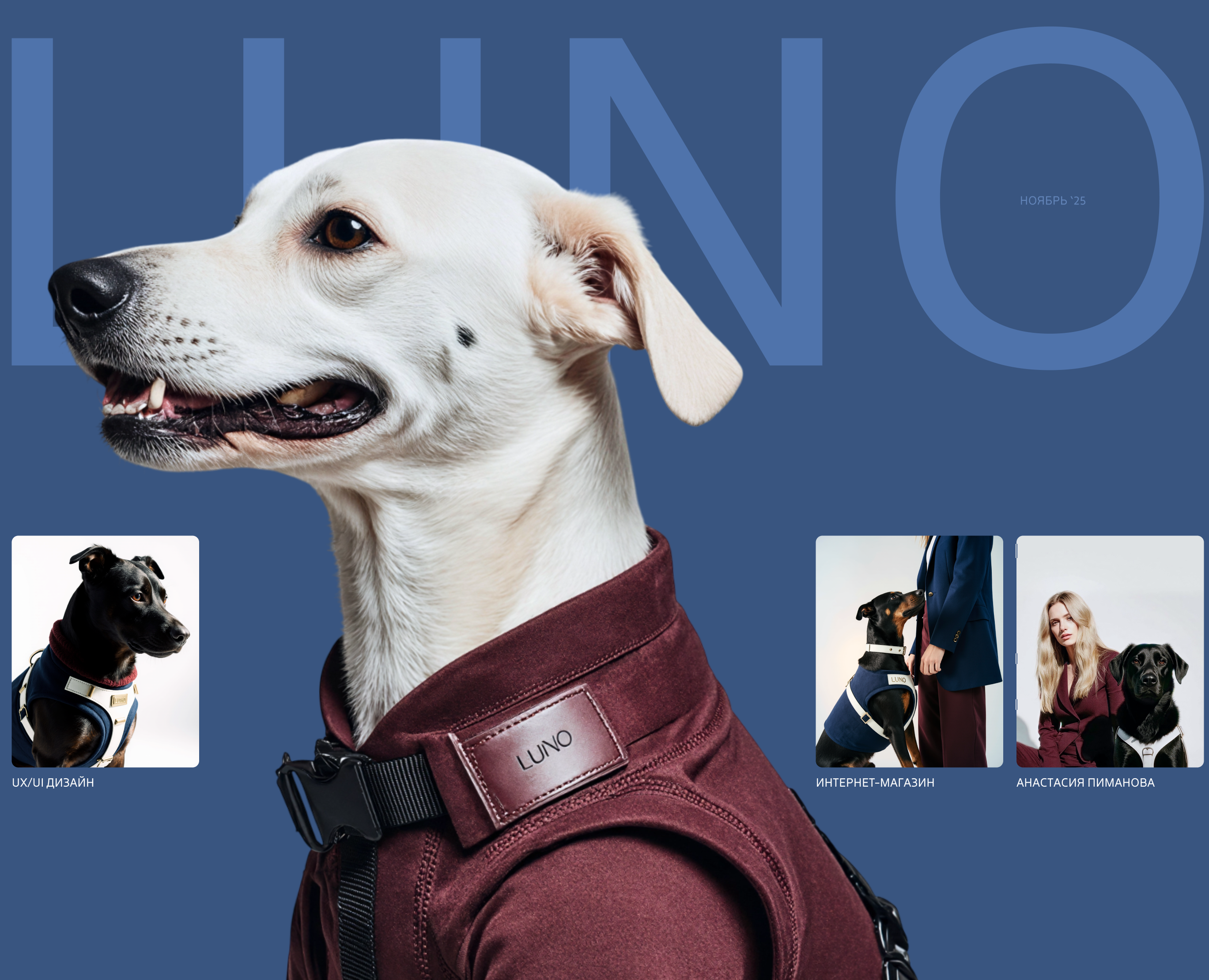 Luno Интернет магазин — Интерфейсы на Dprofile