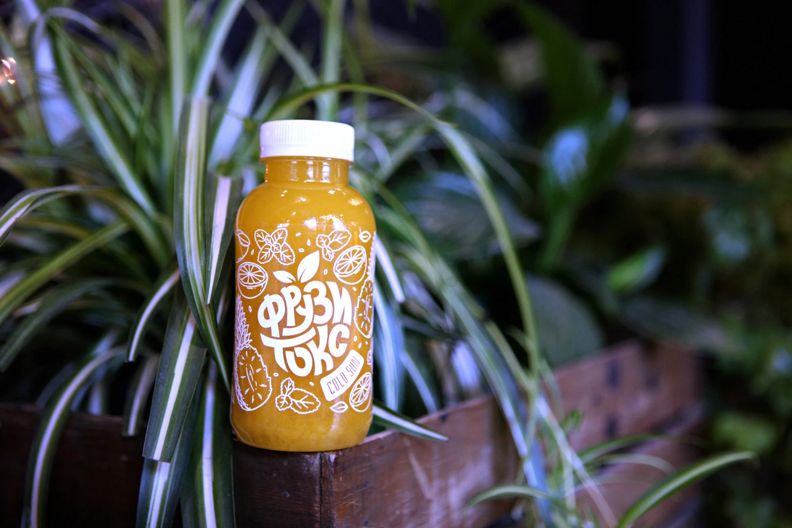 Фрузитокс - дизайн этикеток — Изображение №8 — Брендинг, Иллюстрация на Dprofile