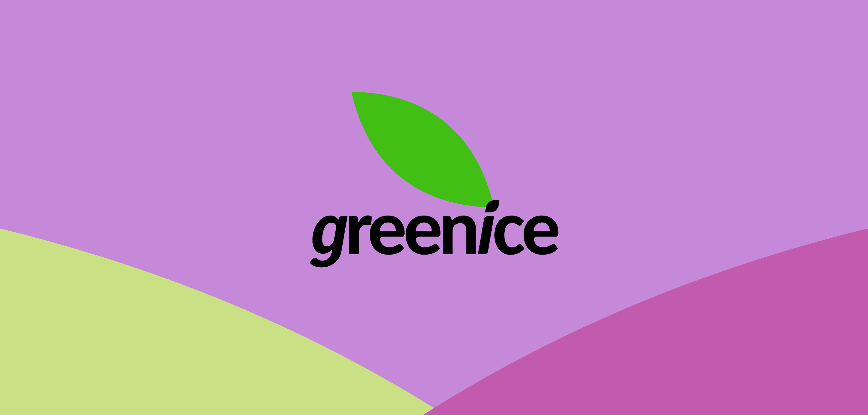 Упаковка | Холодный чай | Greenice — Изображение №23 — Брендинг на Dprofile