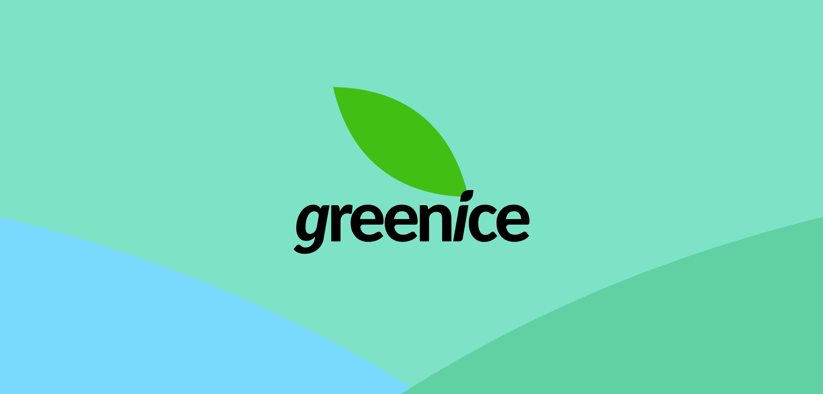 Упаковка | Холодный чай | Greenice — Изображение №14 — Брендинг на Dprofile